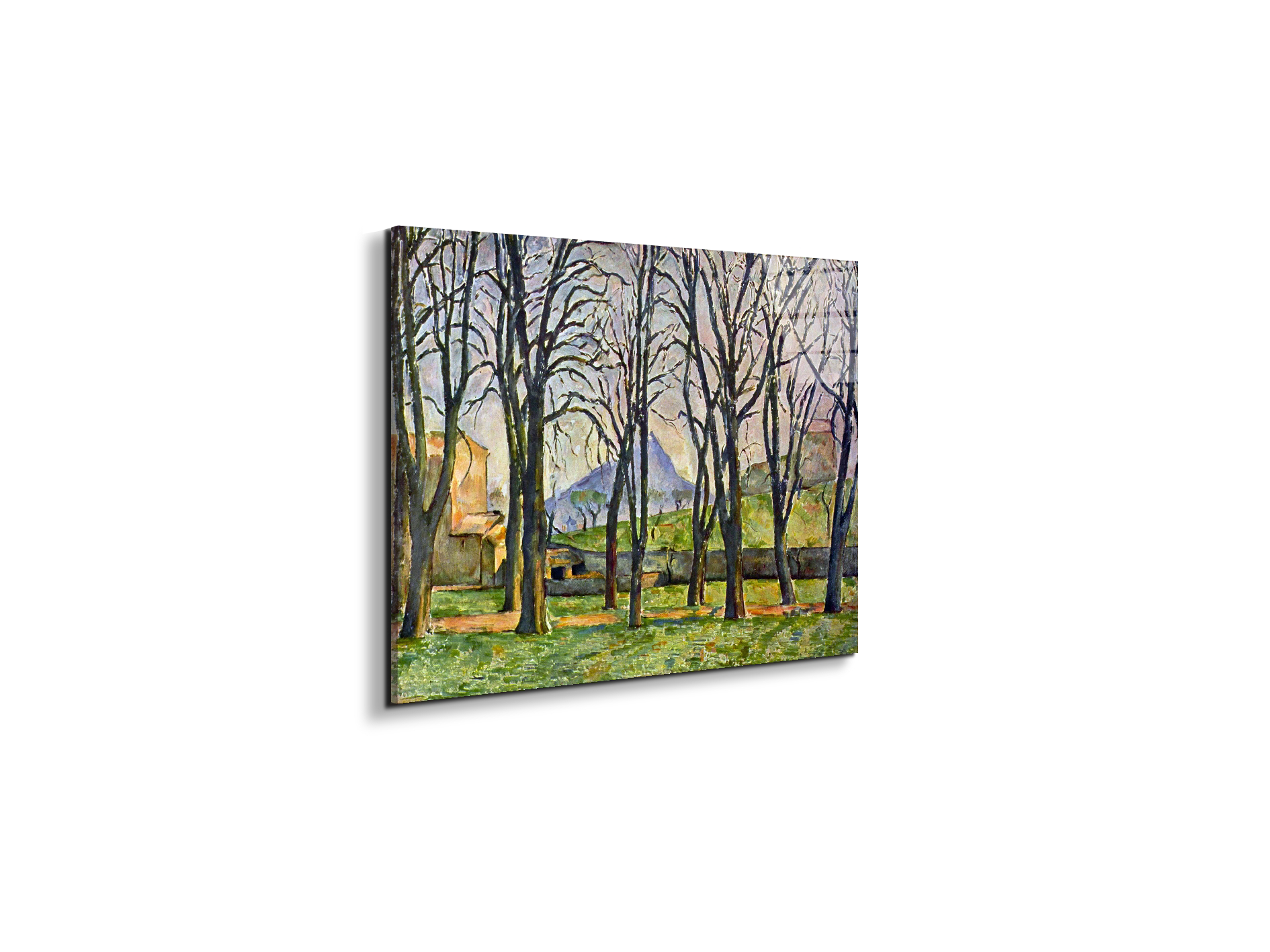 chestnut-trees-in-jas-de-bouffanas92095-