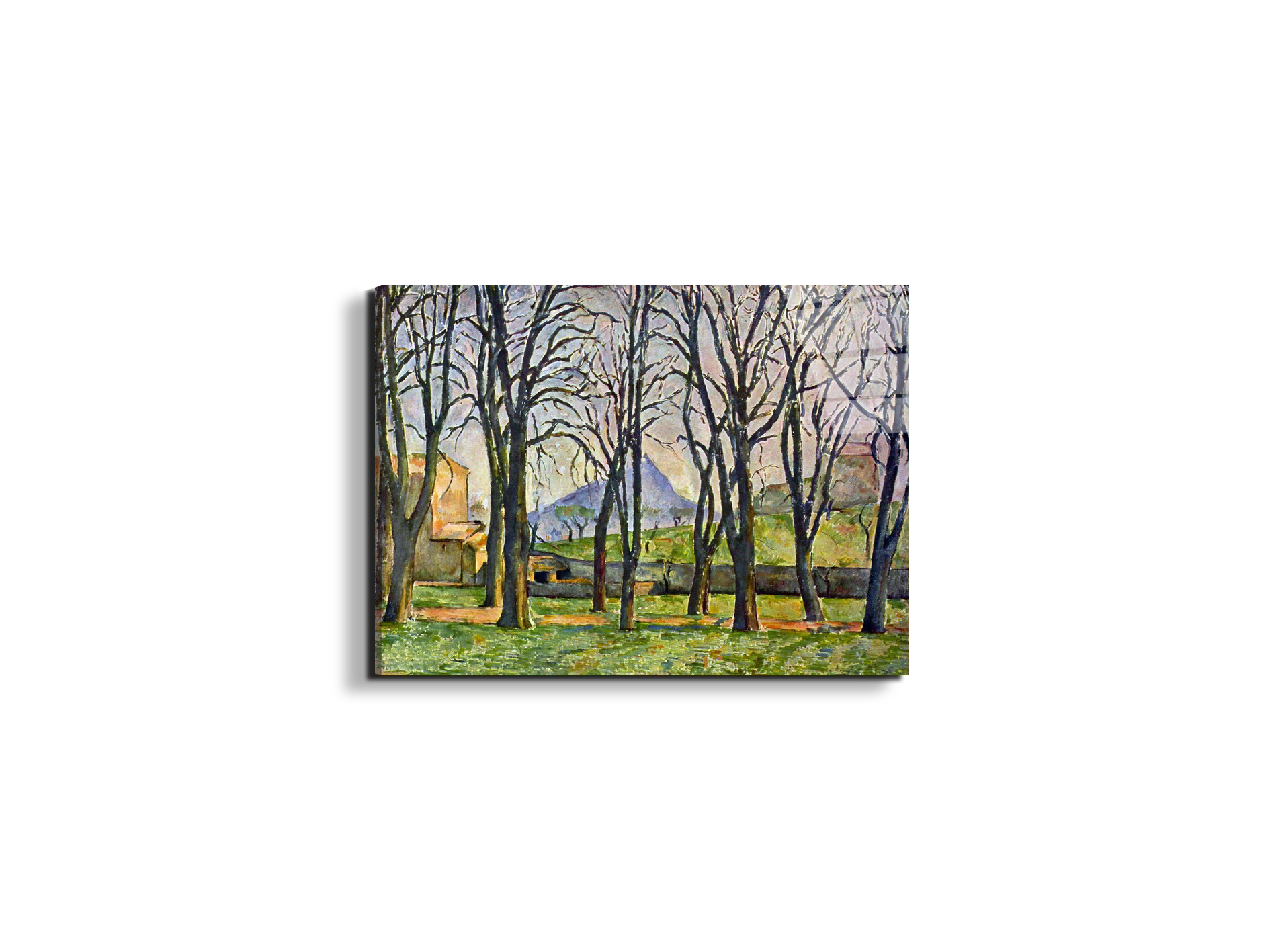 chestnut-trees-in-jas-de-bouffanas92095-