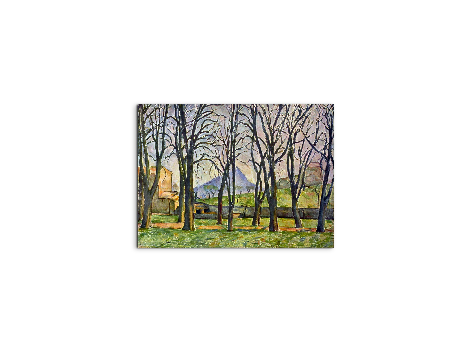 chestnut-trees-in-jas-de-bouffanas92095-