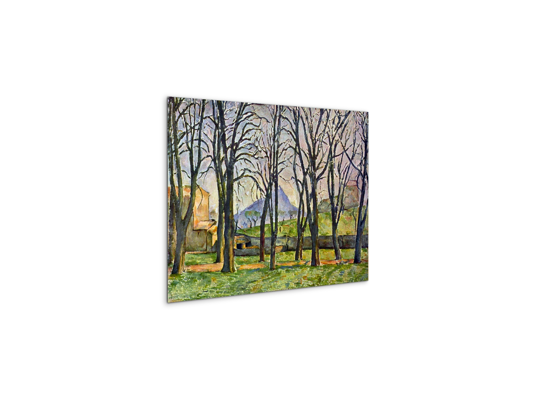 chestnut-trees-in-jas-de-bouffanas92095-