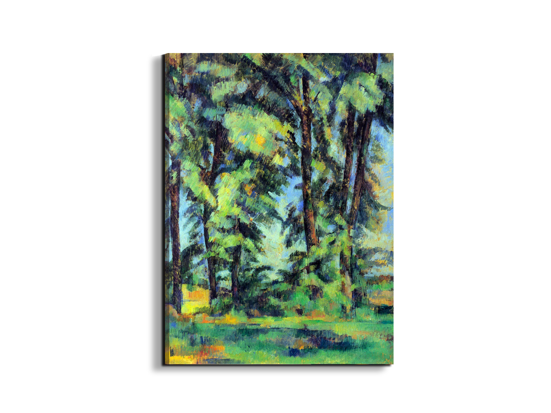 high-trees-in-the-jas-de-bouffanas92109-