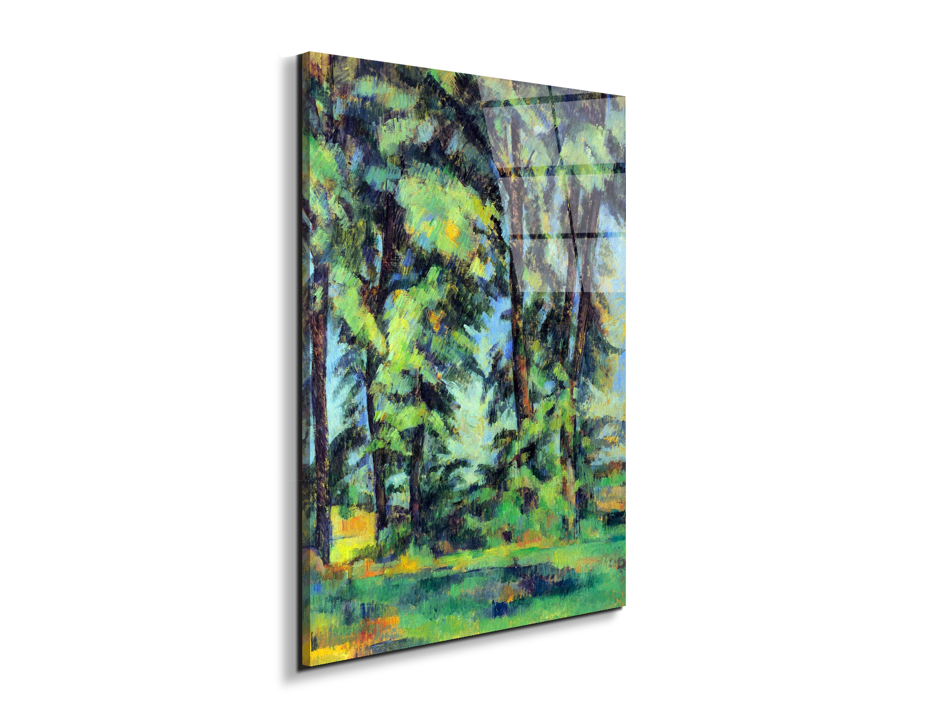 high-trees-in-the-jas-de-bouffanas92109-