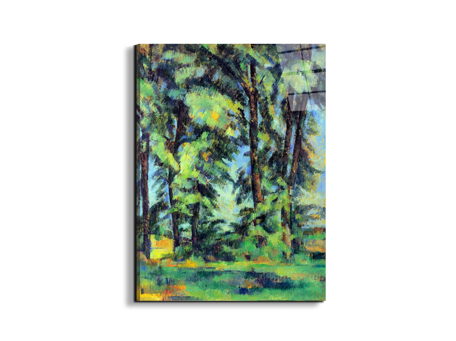 high-trees-in-the-jas-de-bouffanas92109-