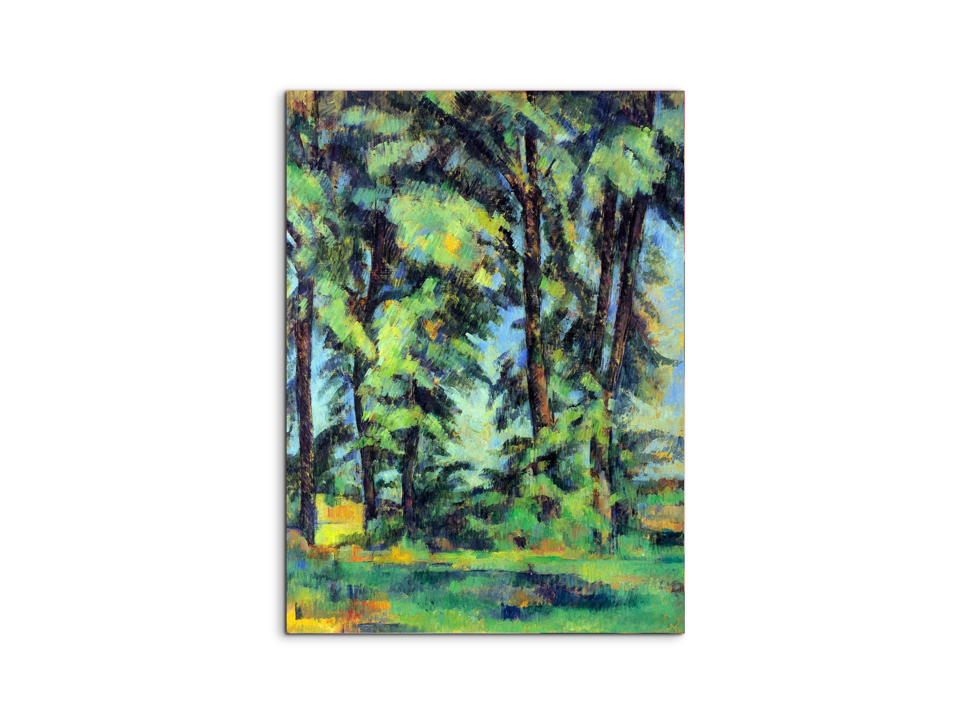high-trees-in-the-jas-de-bouffanas92109-
