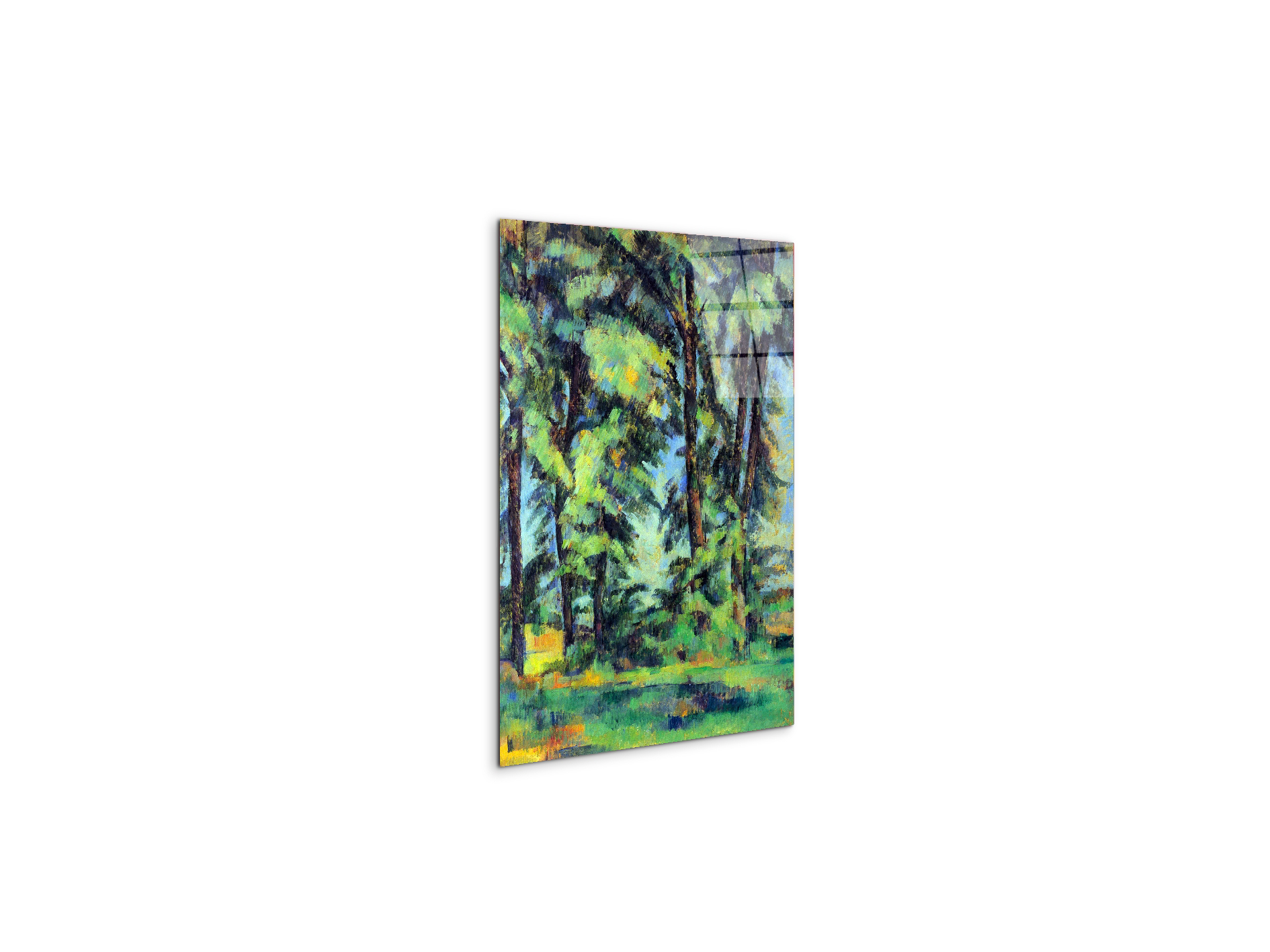 high-trees-in-the-jas-de-bouffanas92109-