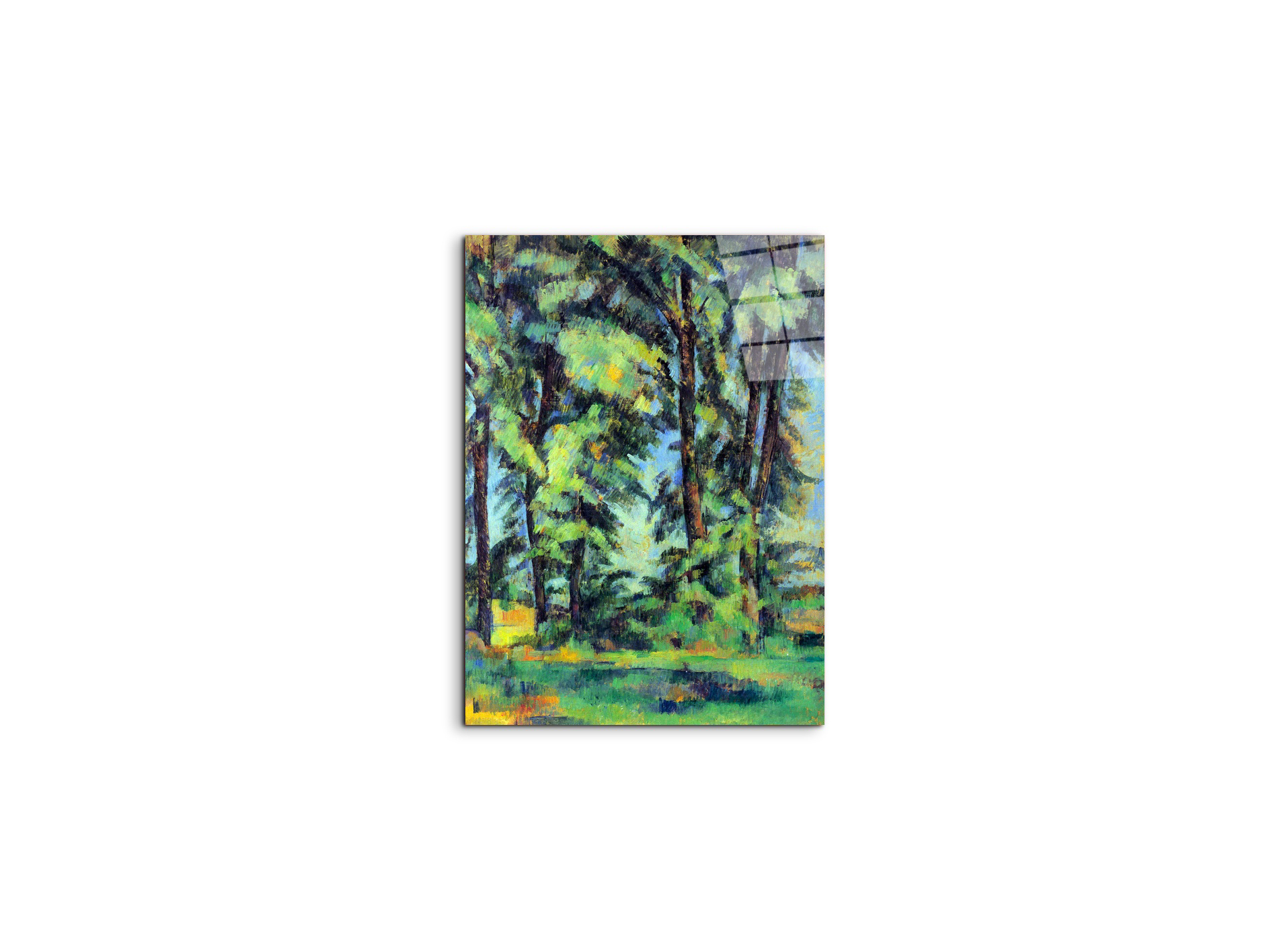 high-trees-in-the-jas-de-bouffanas92109-
