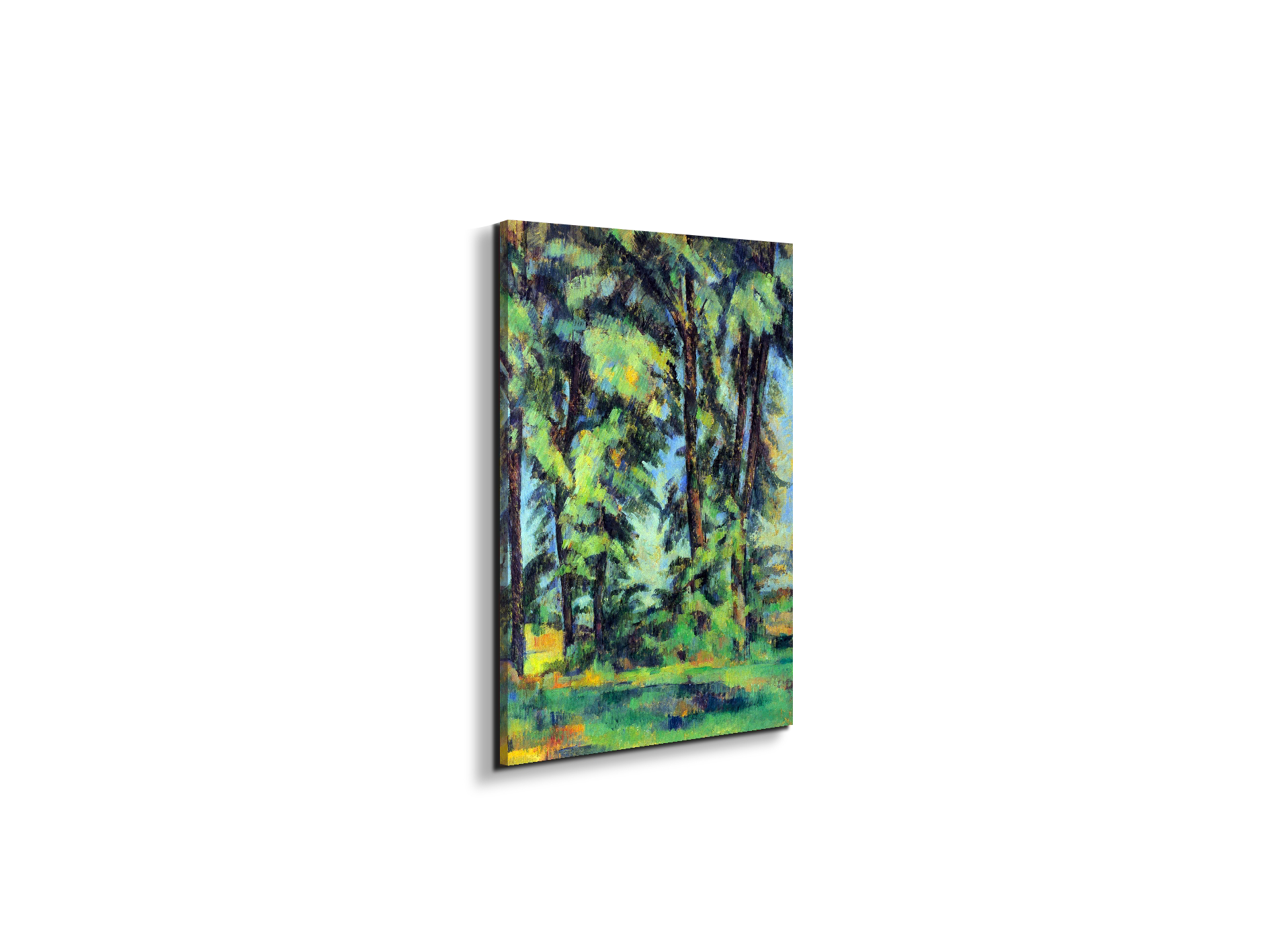 high-trees-in-the-jas-de-bouffanas92109-