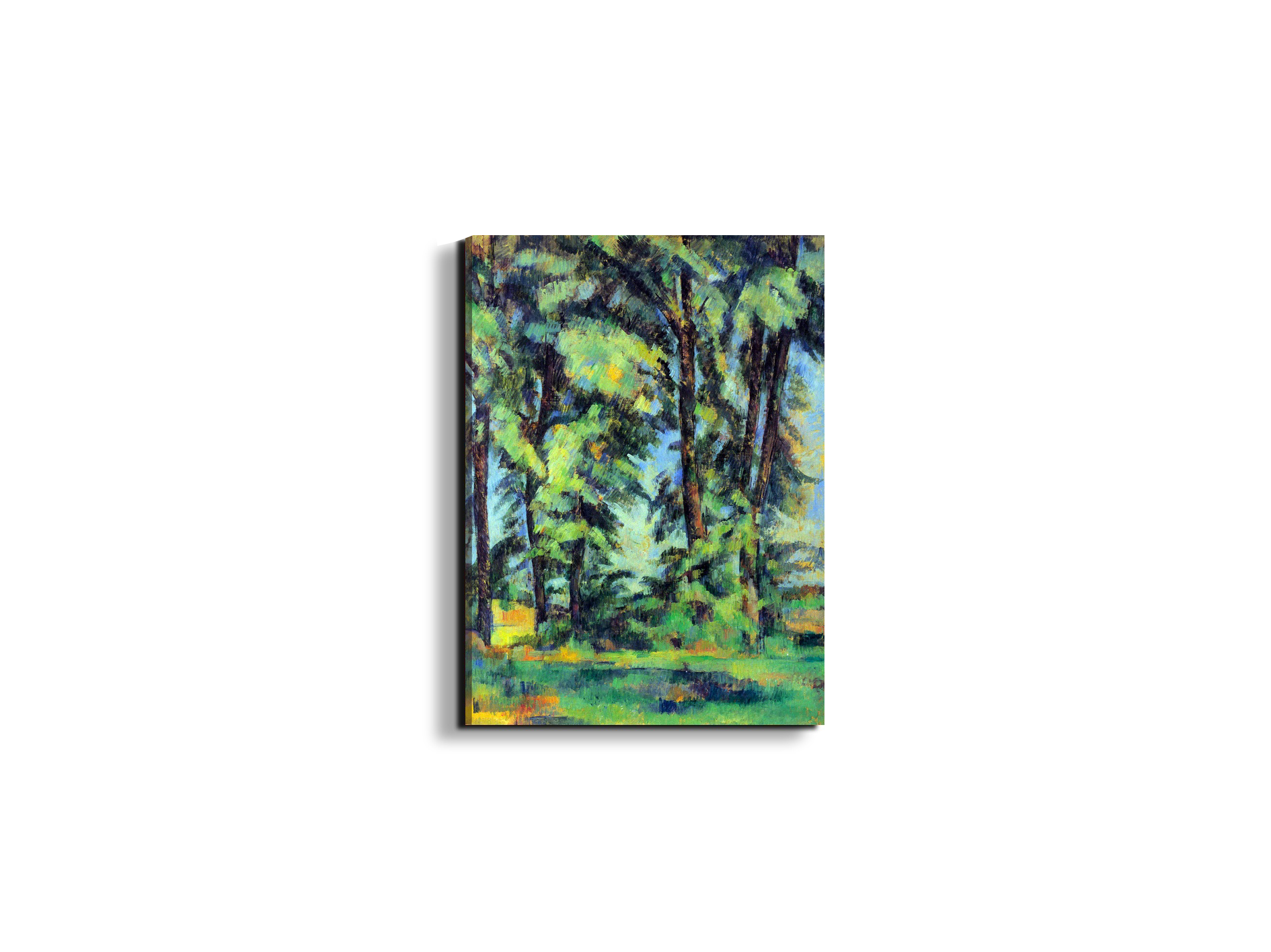 high-trees-in-the-jas-de-bouffanas92109-