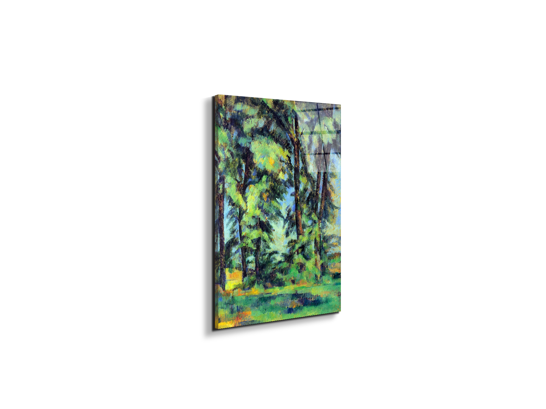high-trees-in-the-jas-de-bouffanas92109-