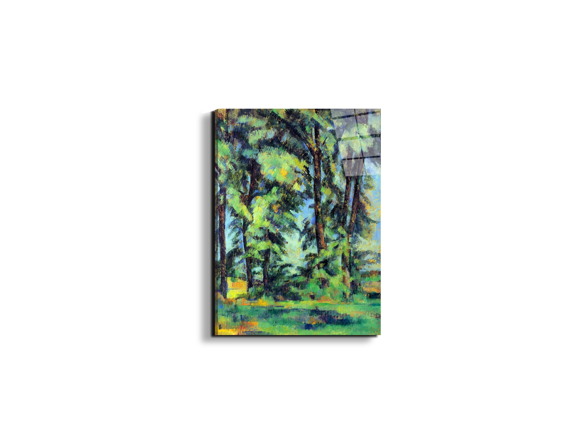 high-trees-in-the-jas-de-bouffanas92109-