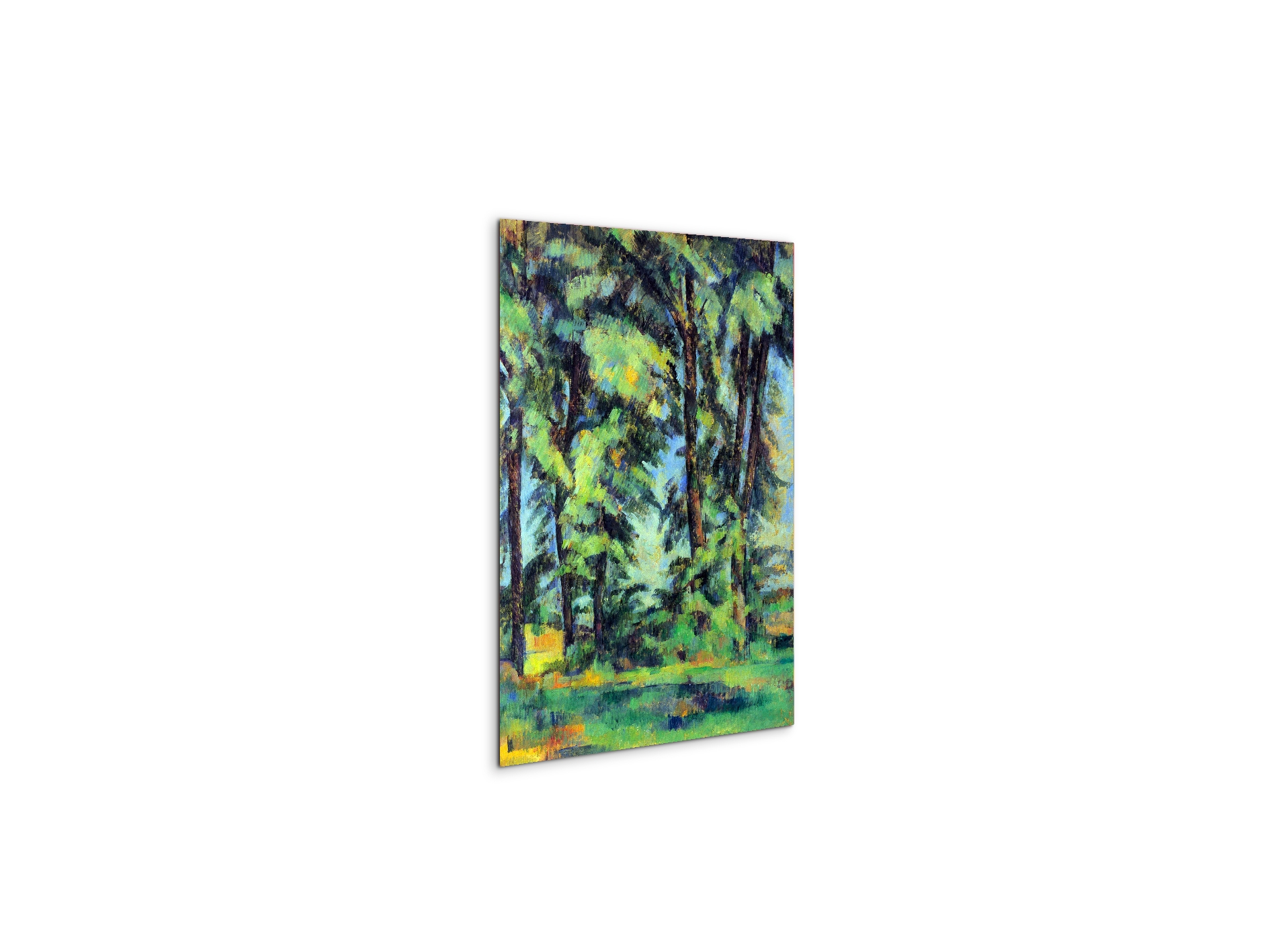 high-trees-in-the-jas-de-bouffanas92109-
