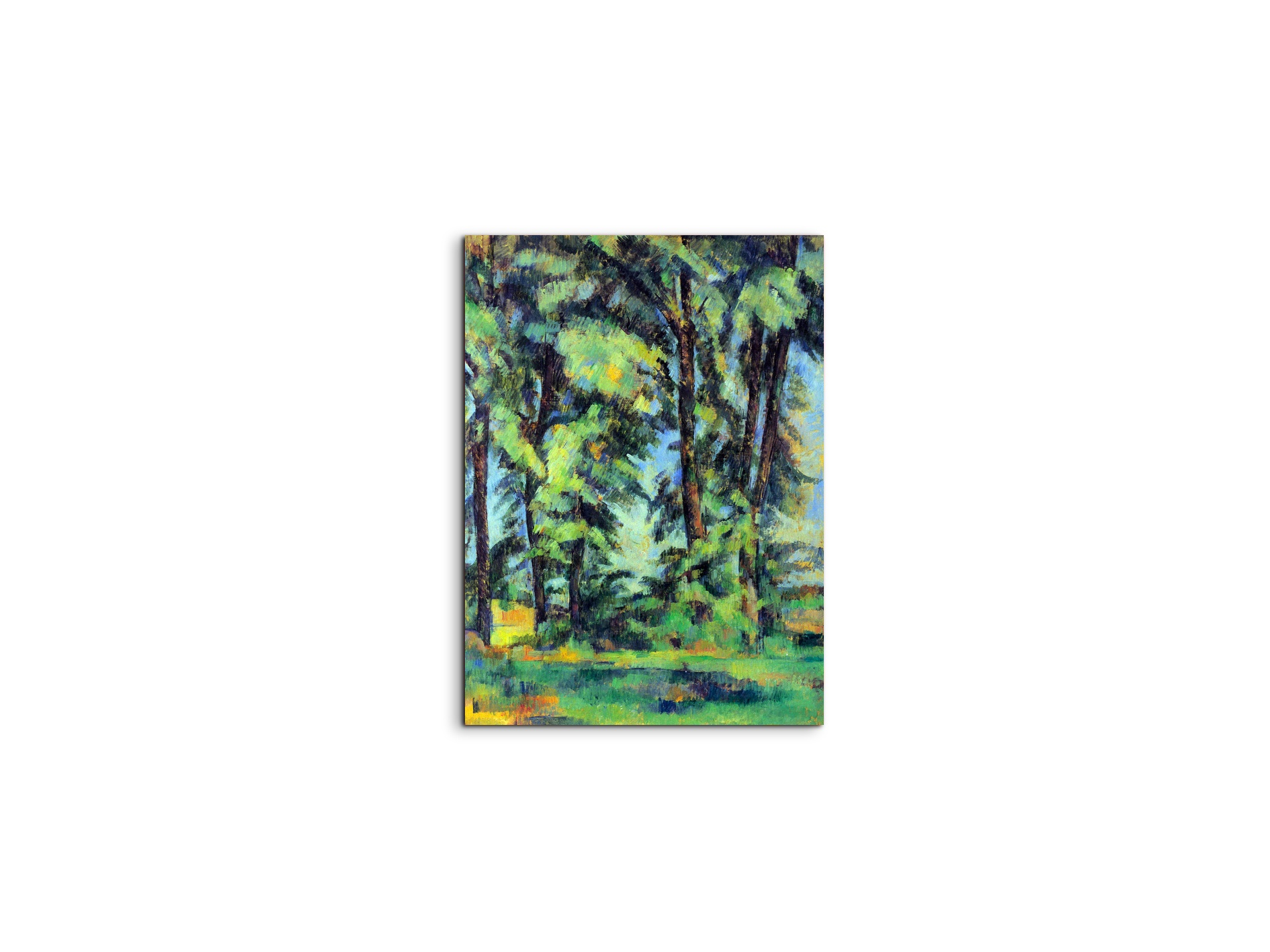 high-trees-in-the-jas-de-bouffanas92109-