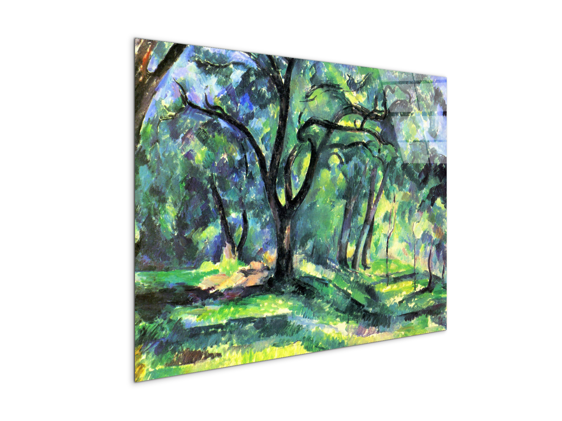 in-the-woodsas92119-