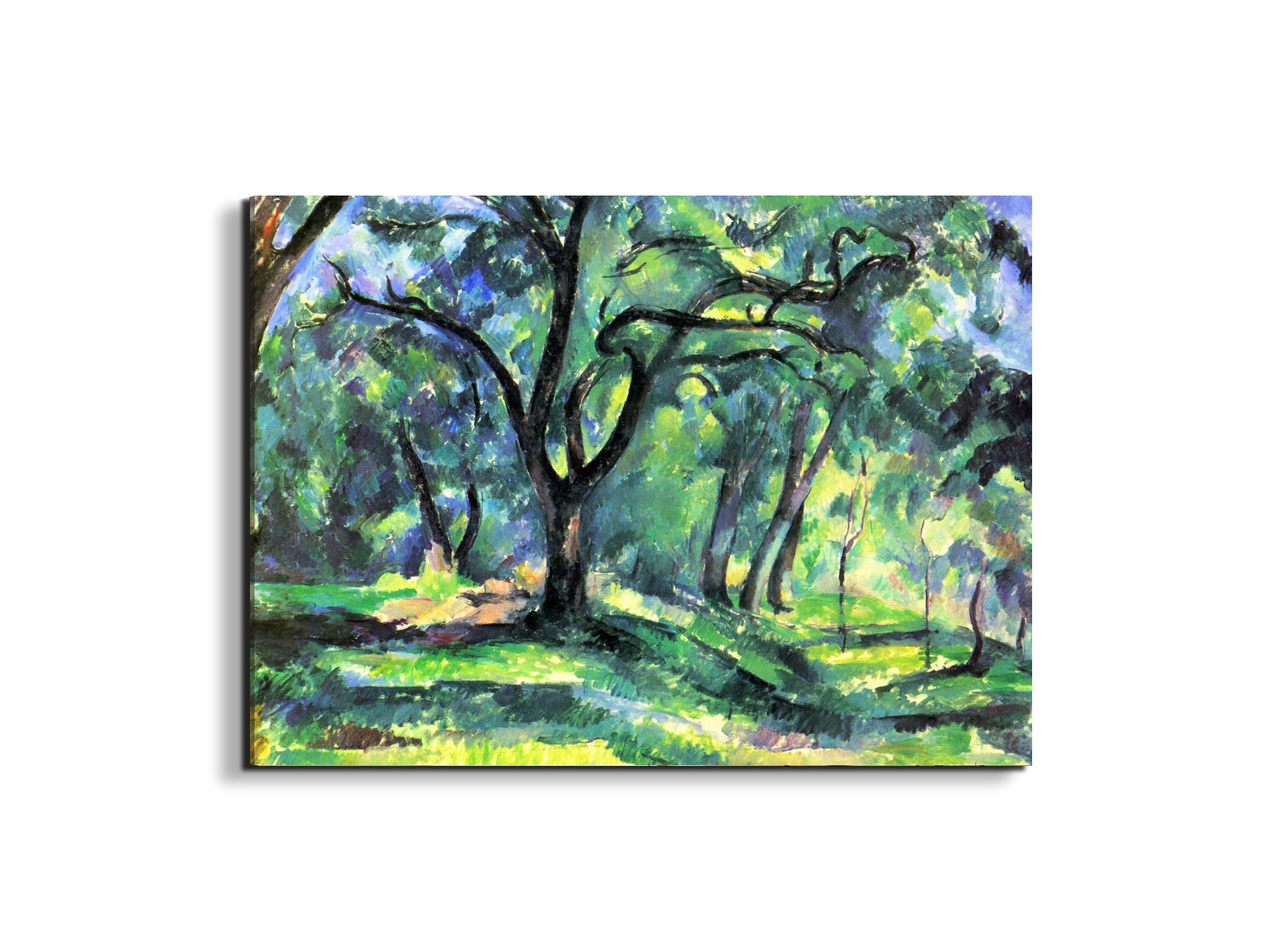in-the-woodsas92119-