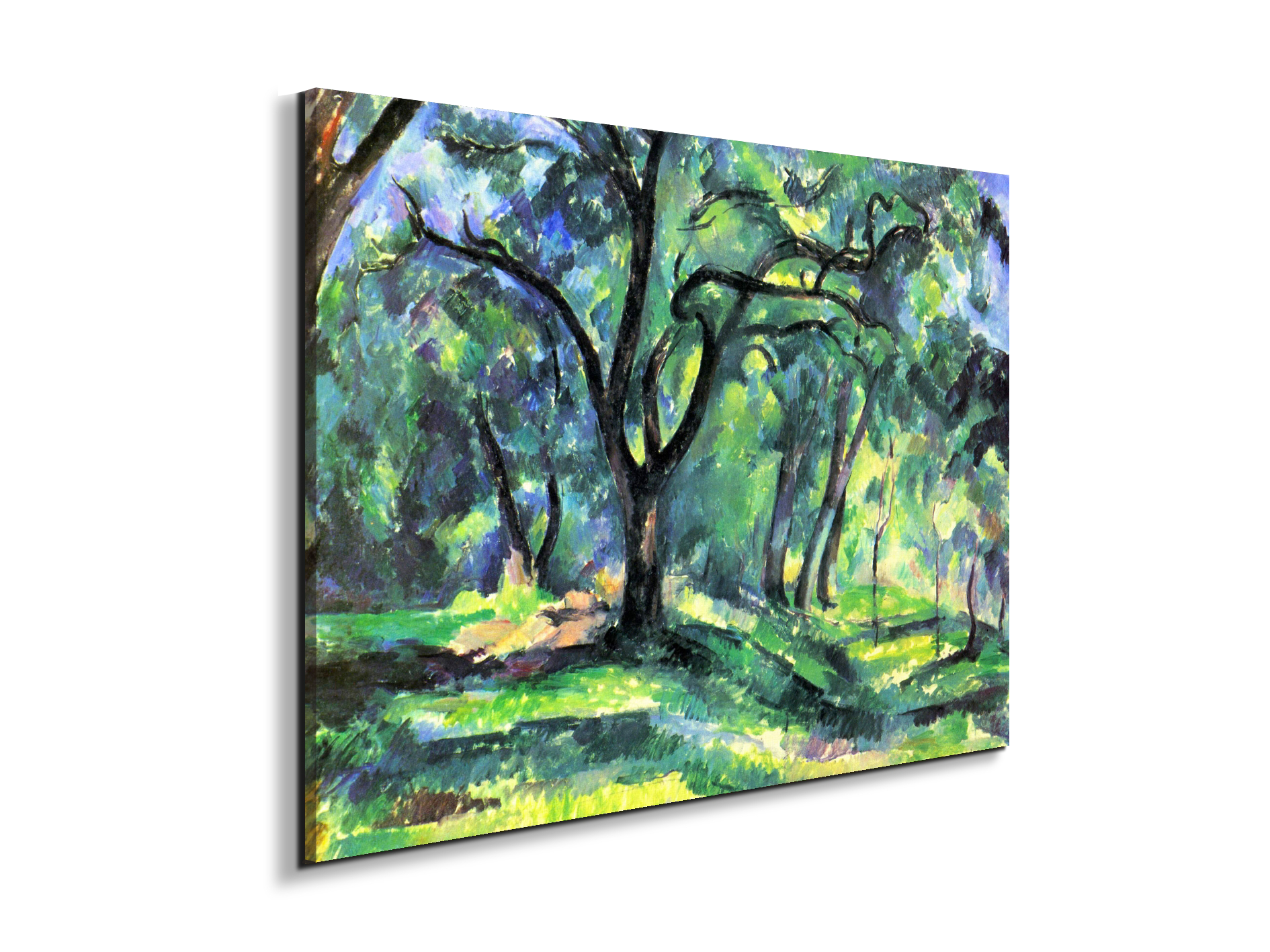 in-the-woodsas92119-