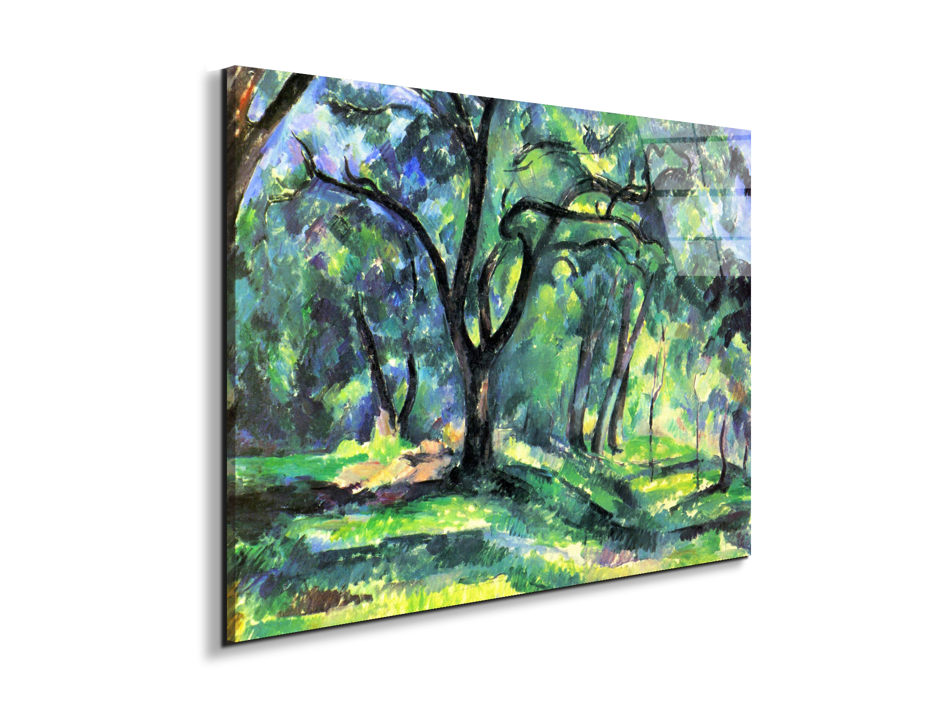 in-the-woodsas92119-