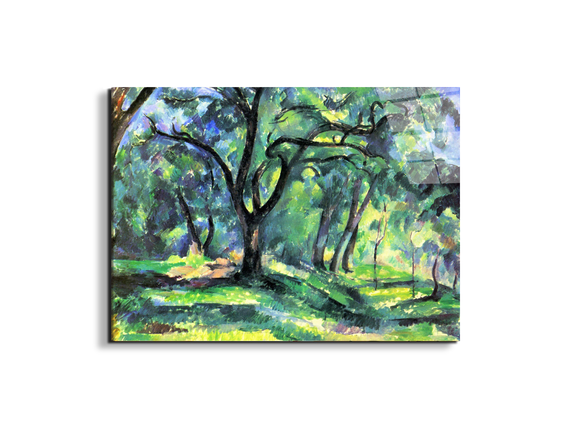 in-the-woodsas92119-