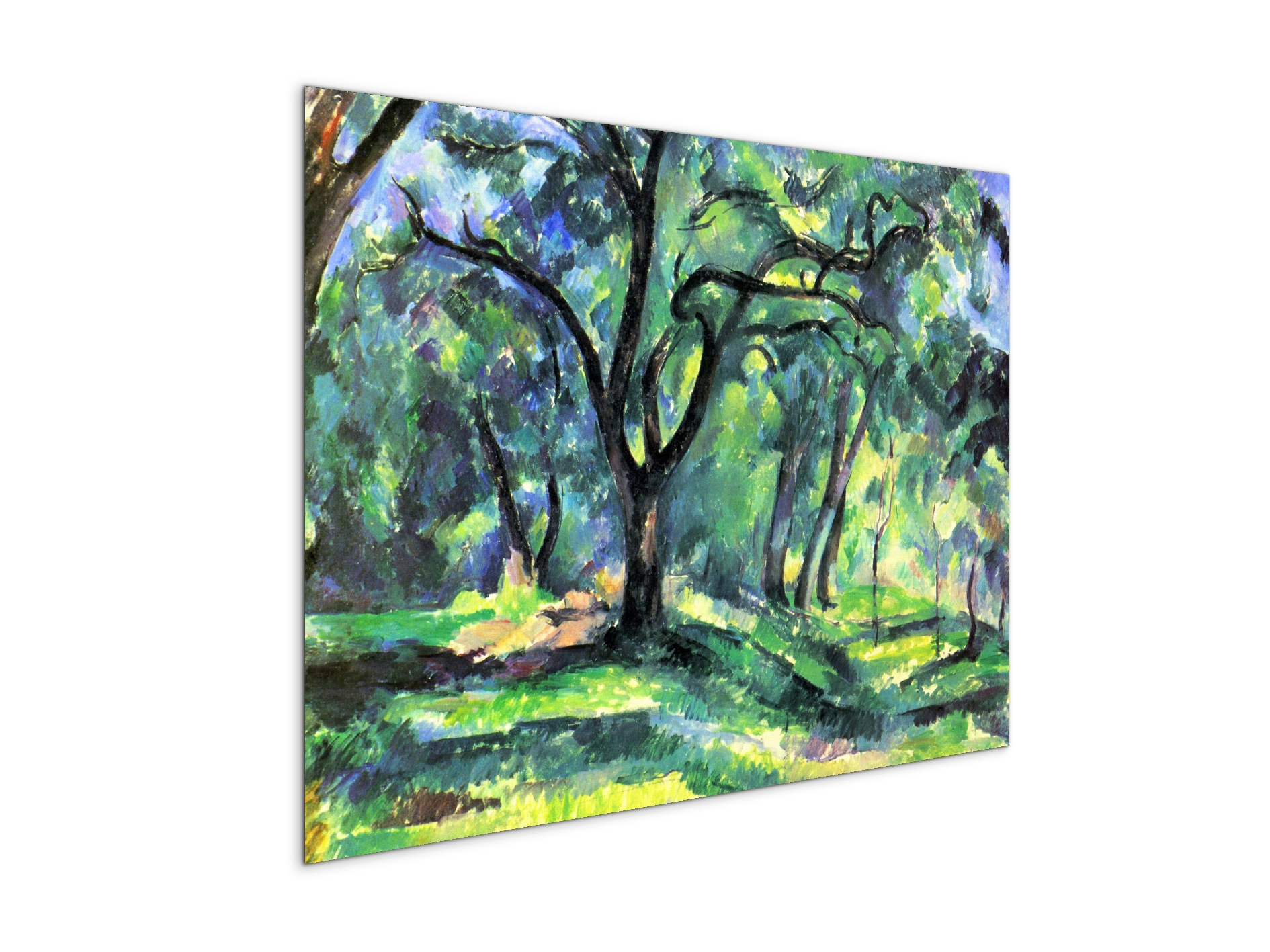 in-the-woodsas92119-
