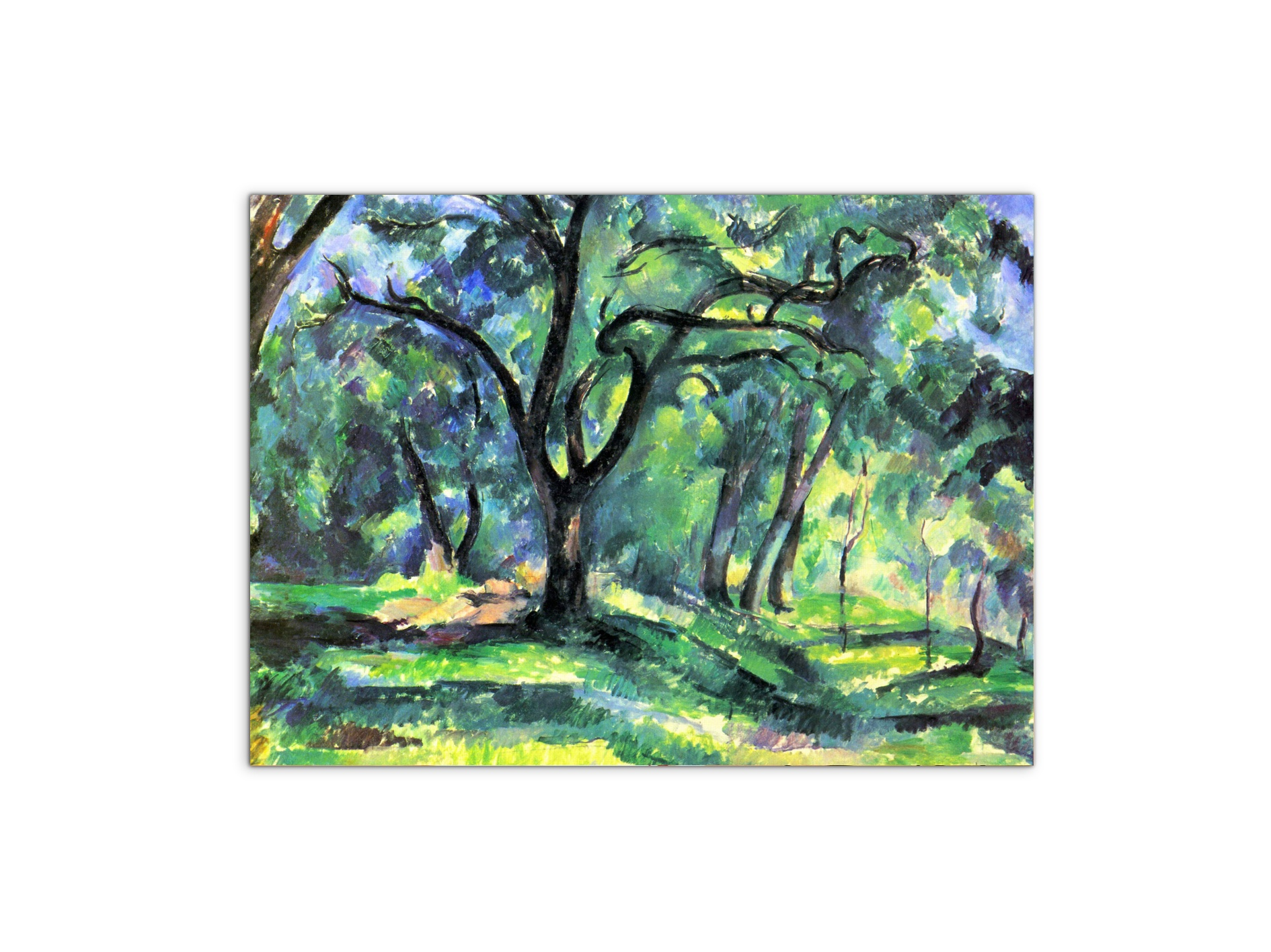 in-the-woodsas92119-