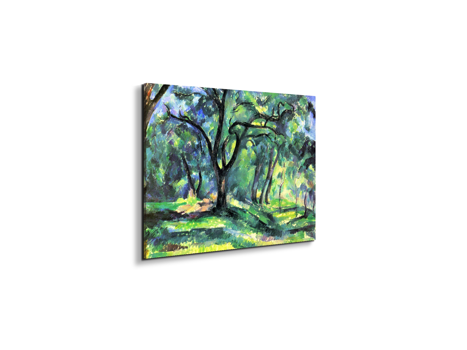 in-the-woodsas92119-