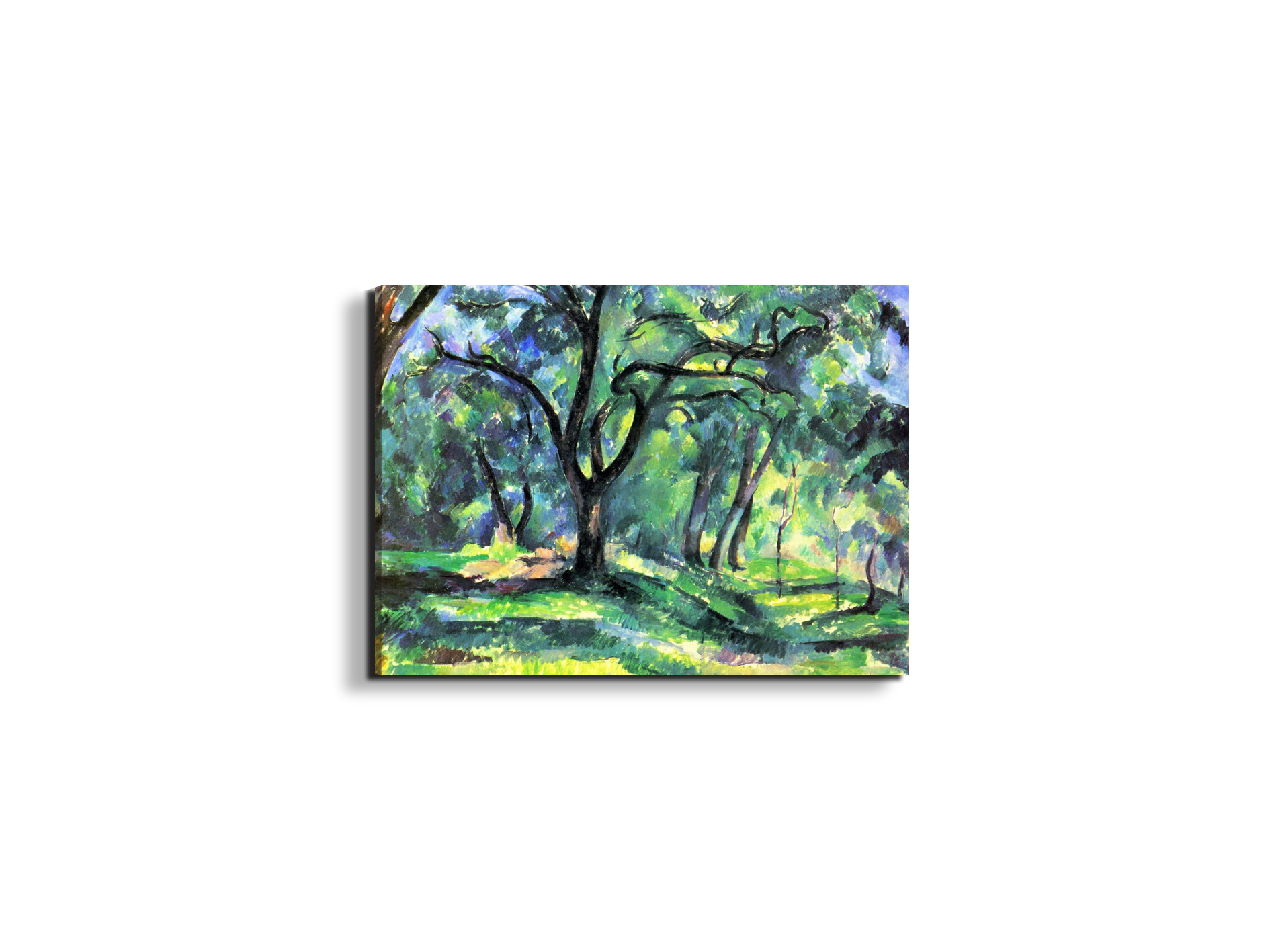 in-the-woodsas92119-