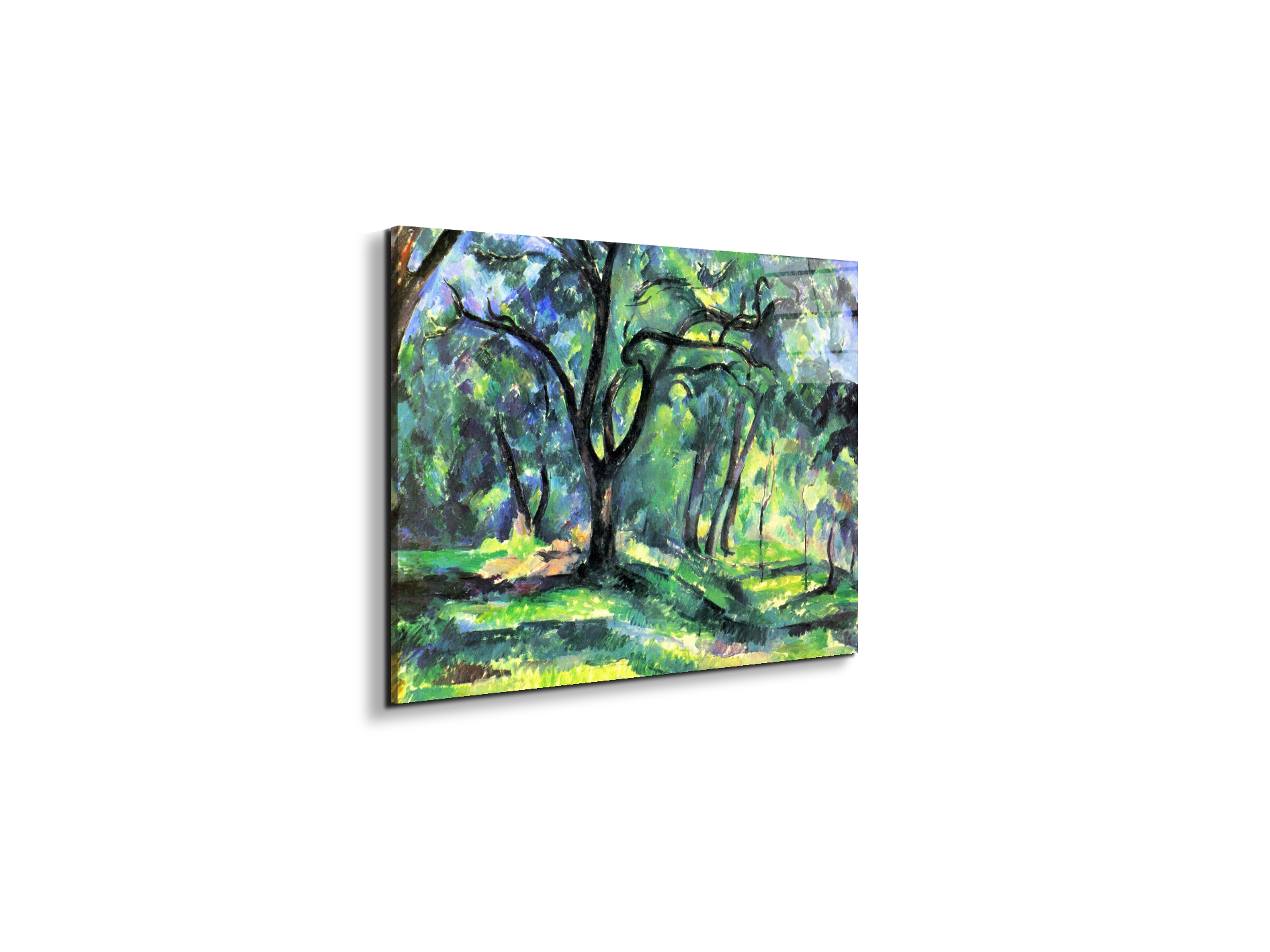 in-the-woodsas92119-