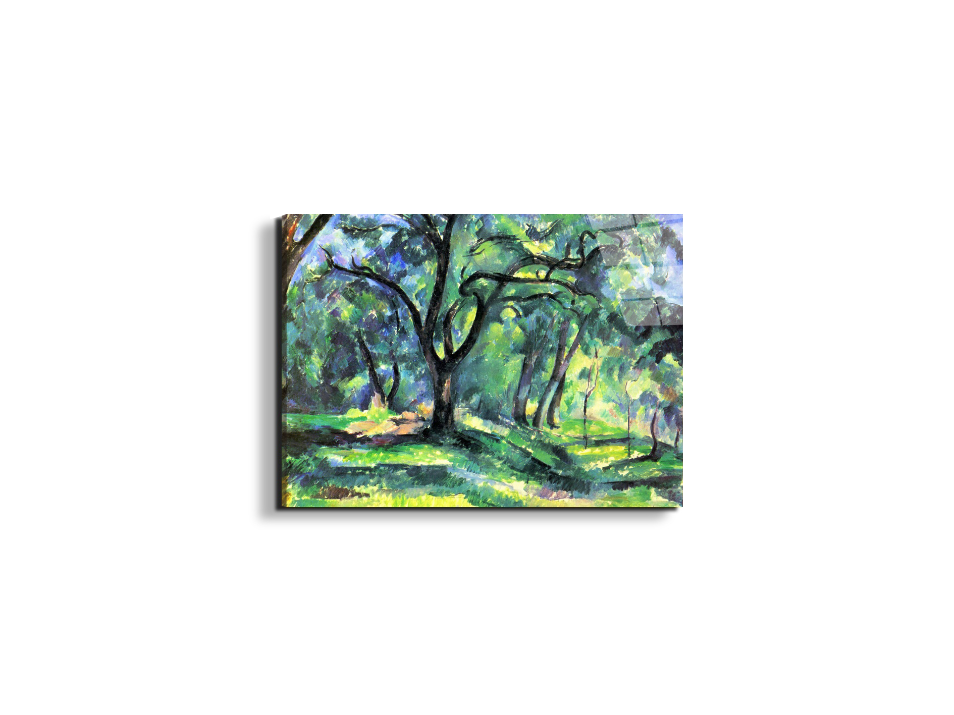 in-the-woodsas92119-