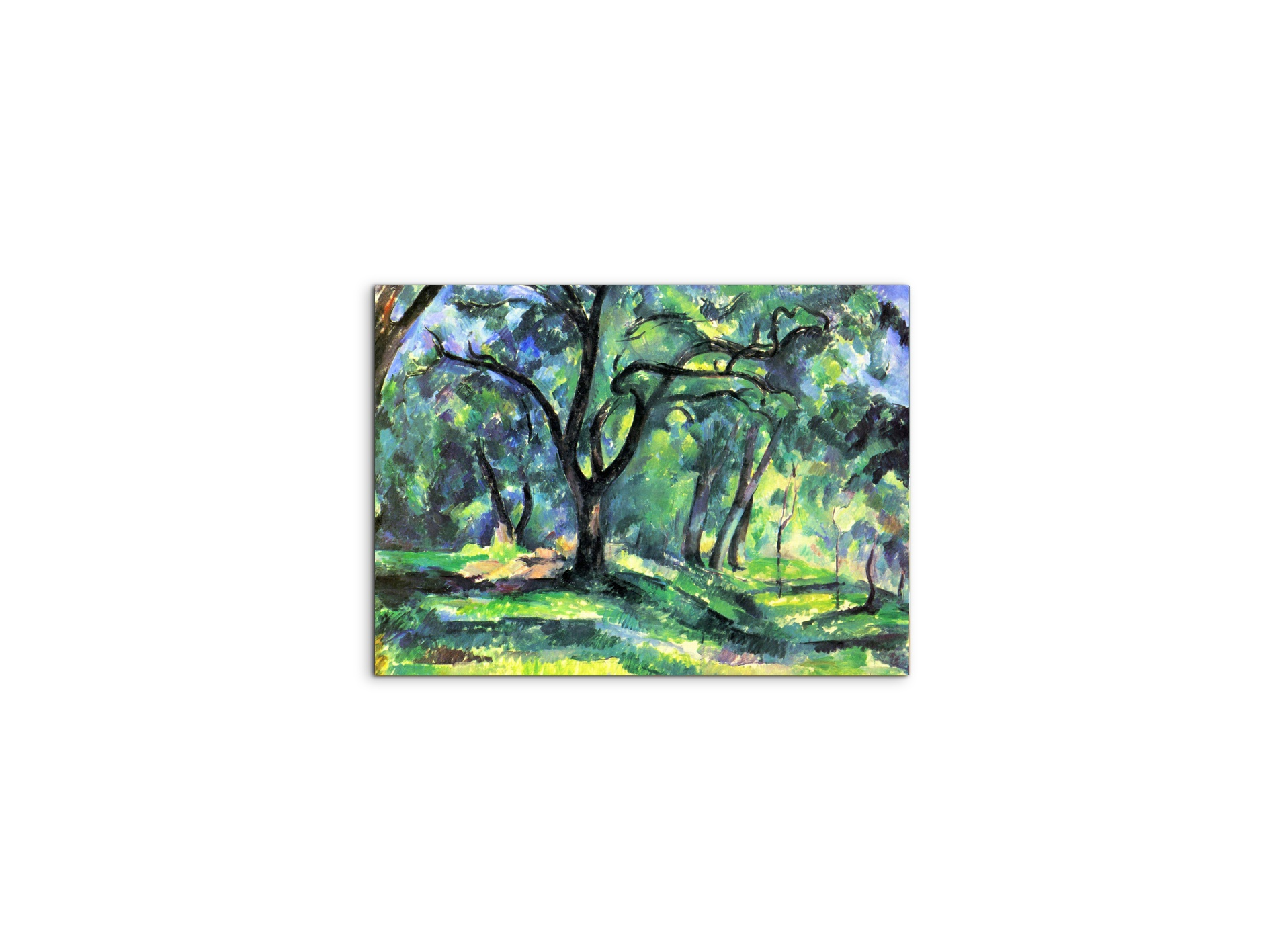 in-the-woodsas92119-