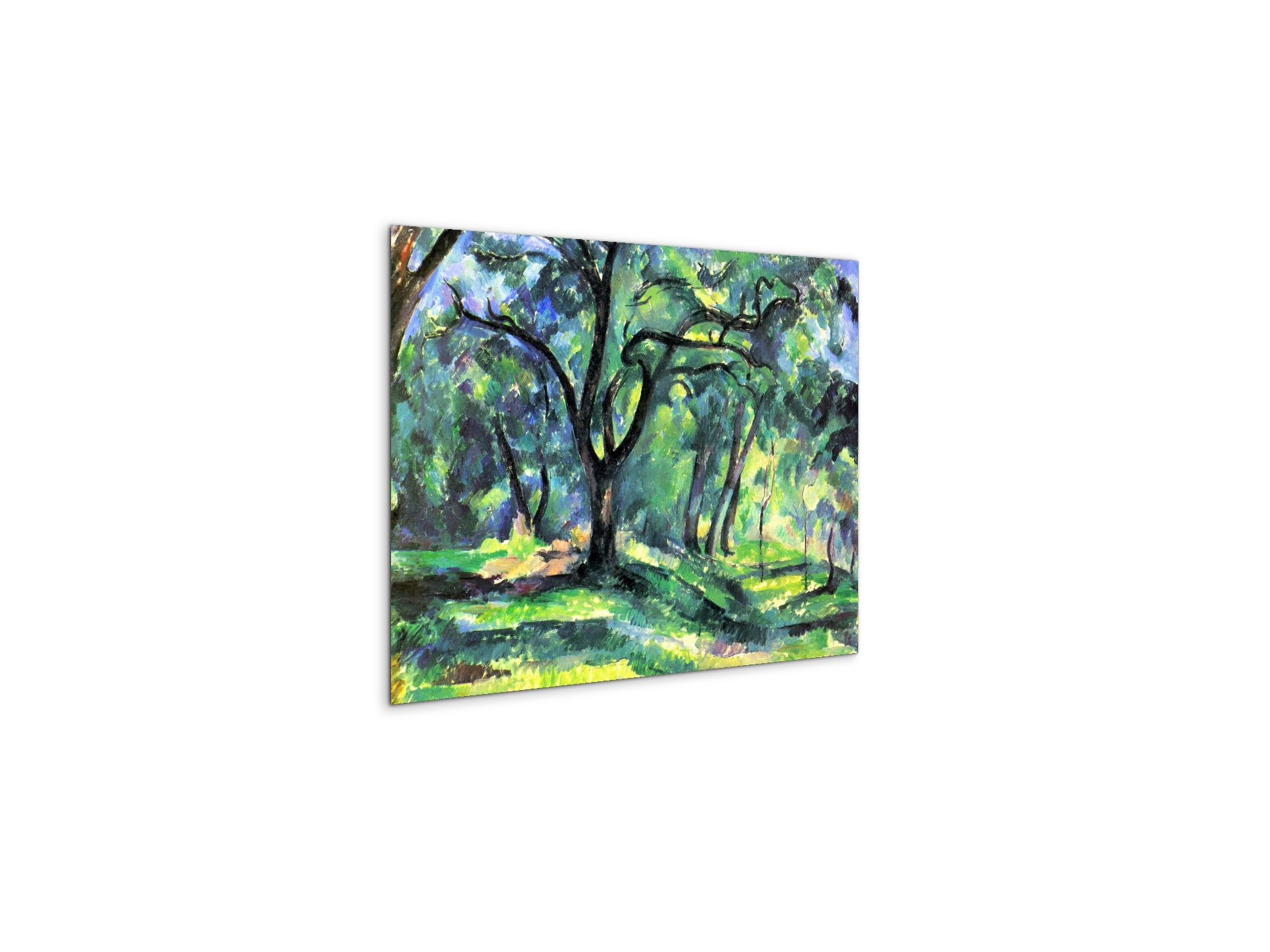 in-the-woodsas92119-