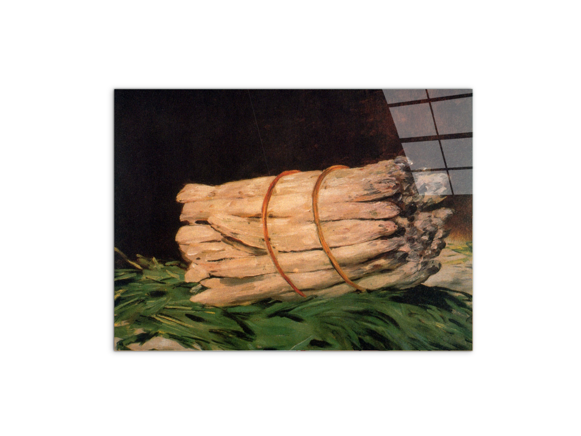 asperagusas92211-