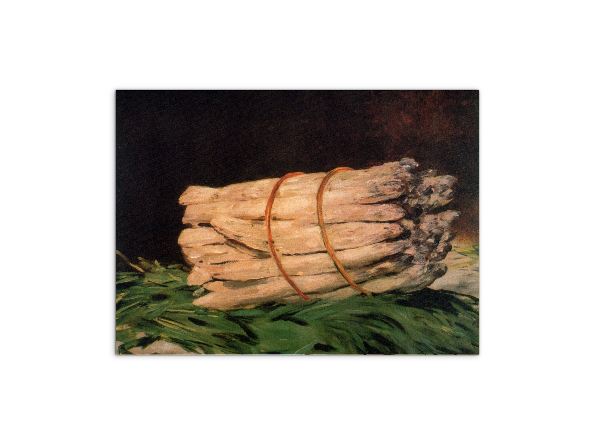 asperagusas92211-