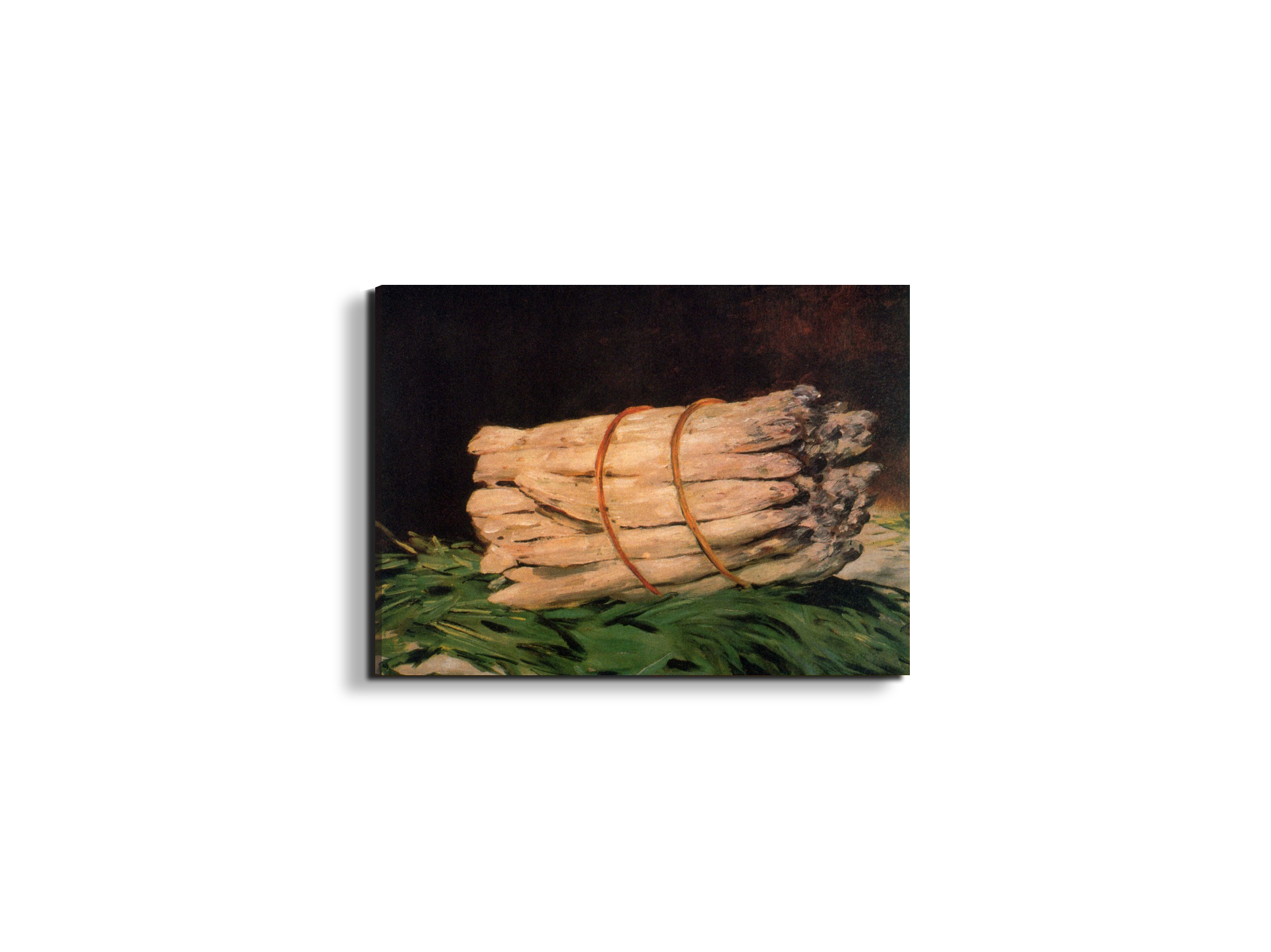 asperagusas92211-