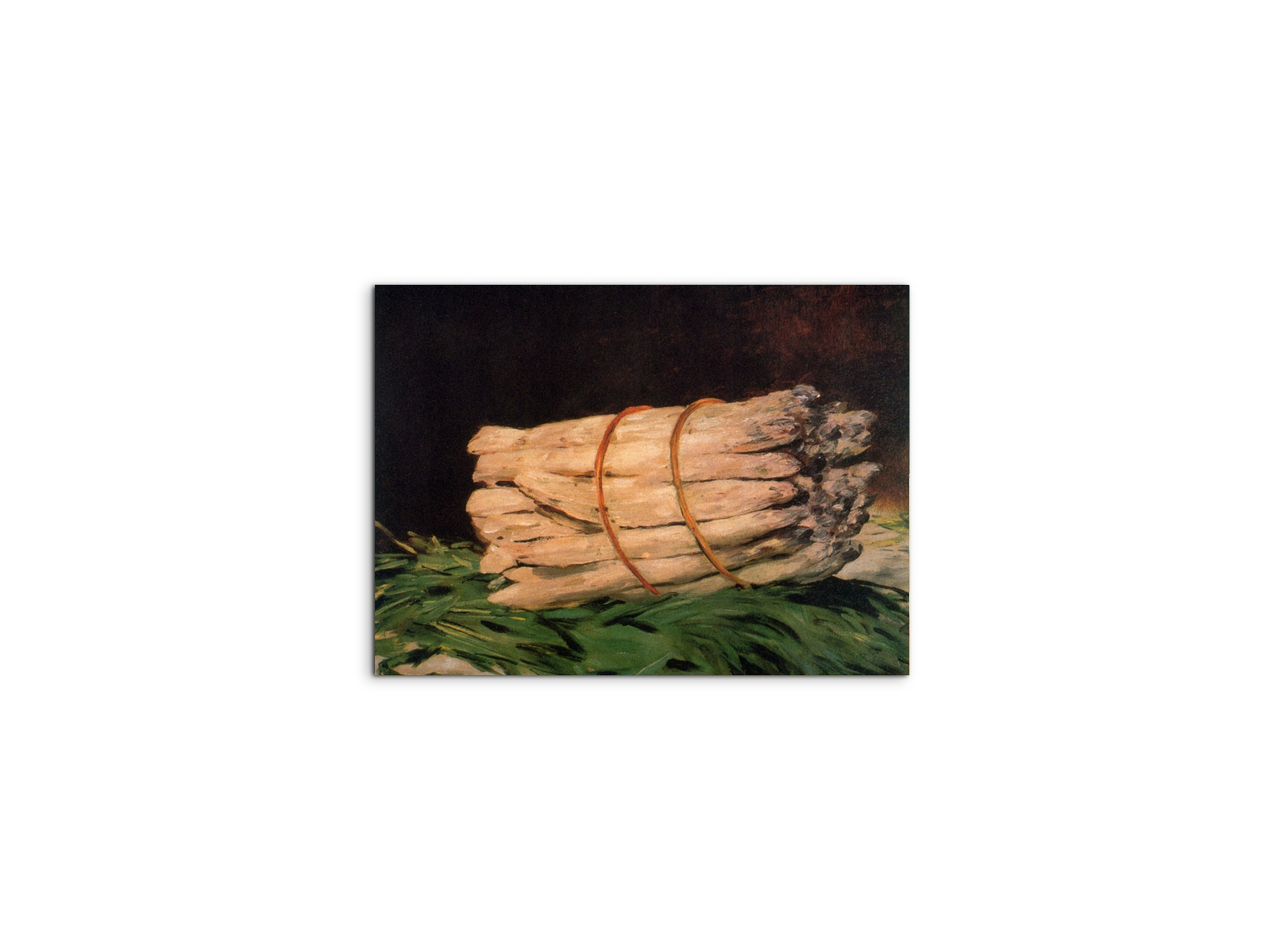 asperagusas92211-