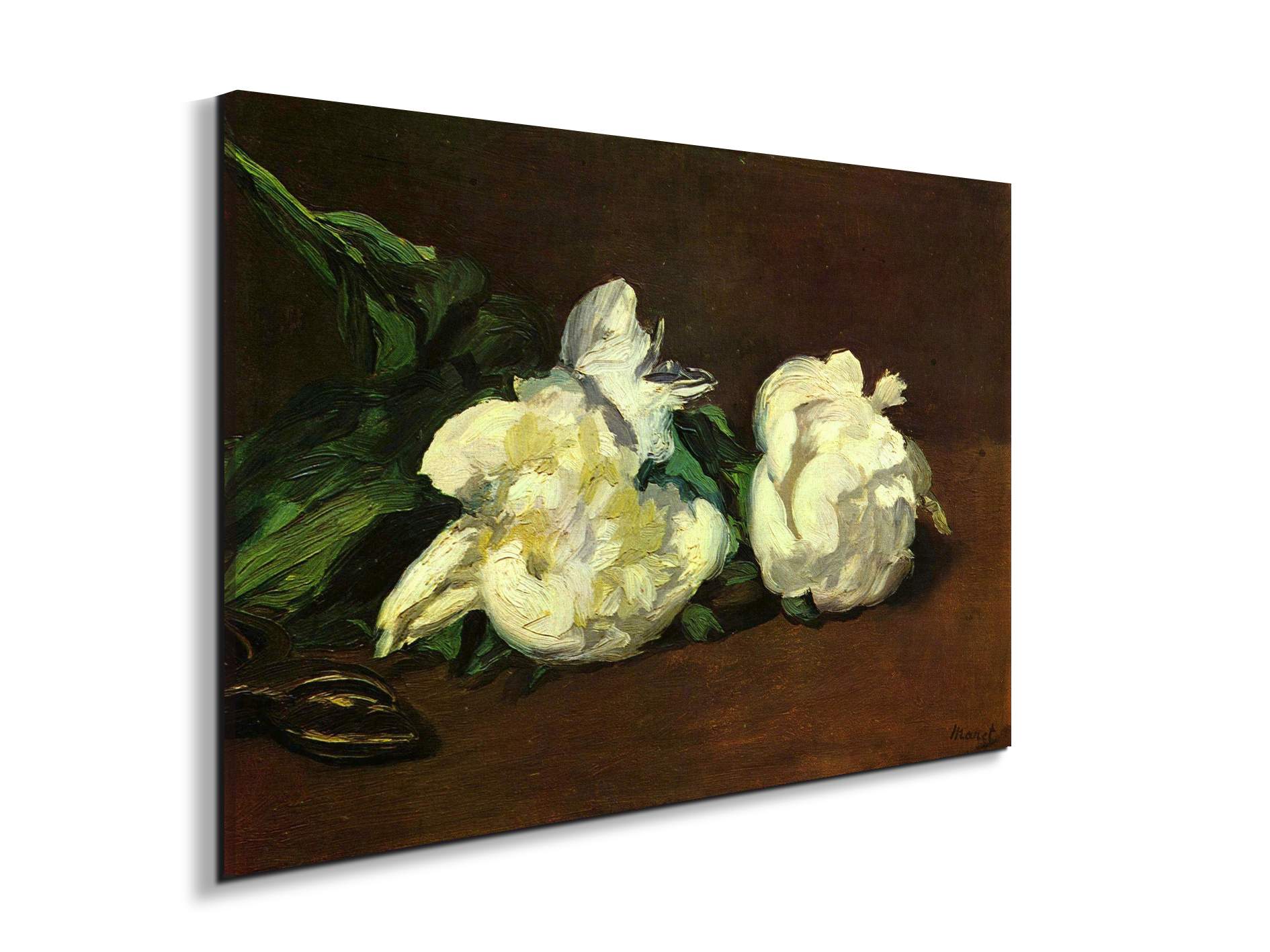still-life-white-peony-as92263-#materiale_EarthArt Materic/dimensioni_79,5x53