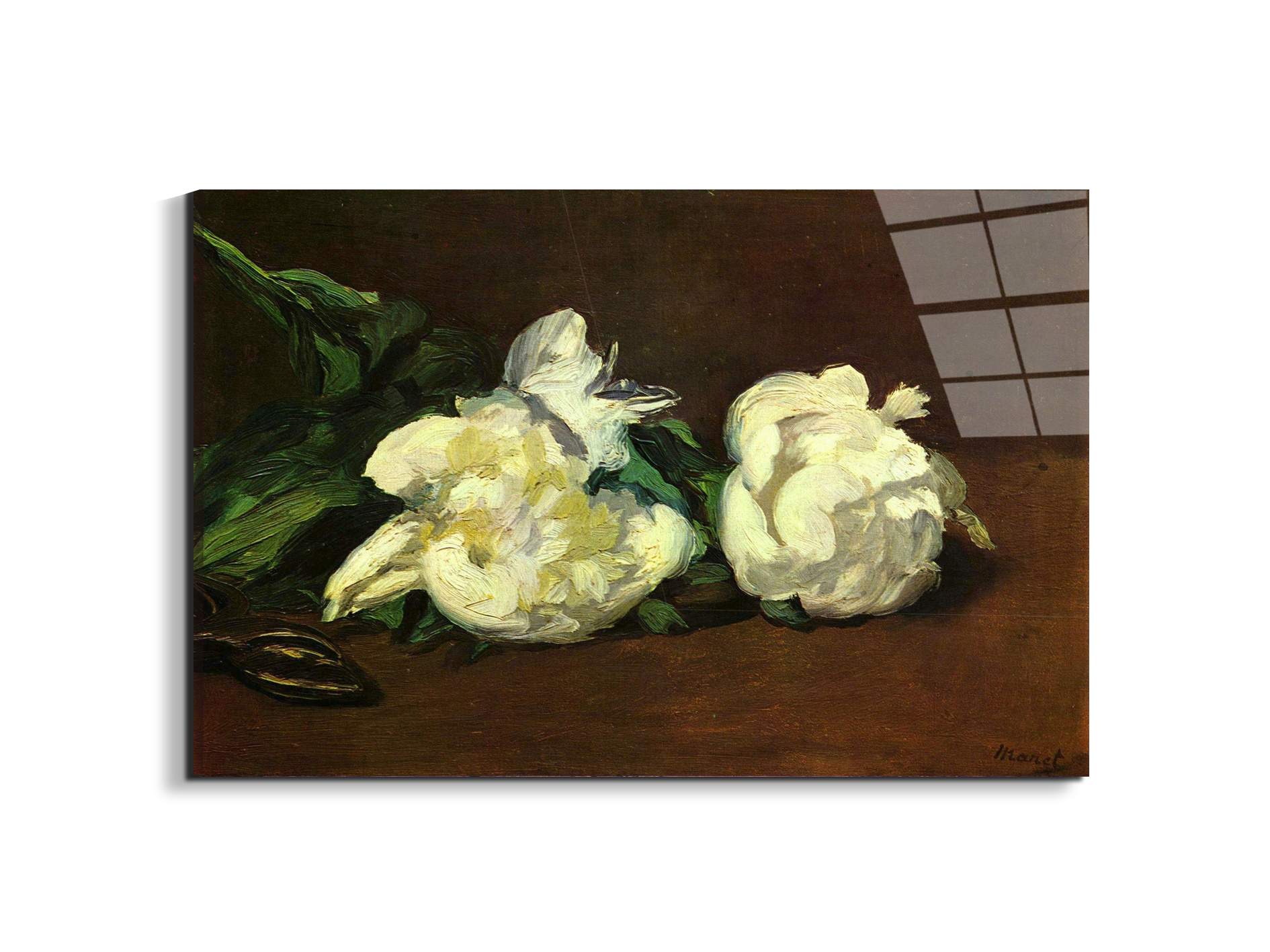 still-life-white-peony-as92263-#materiale_EarthArt Total Gloss/dimensioni_79,5x53