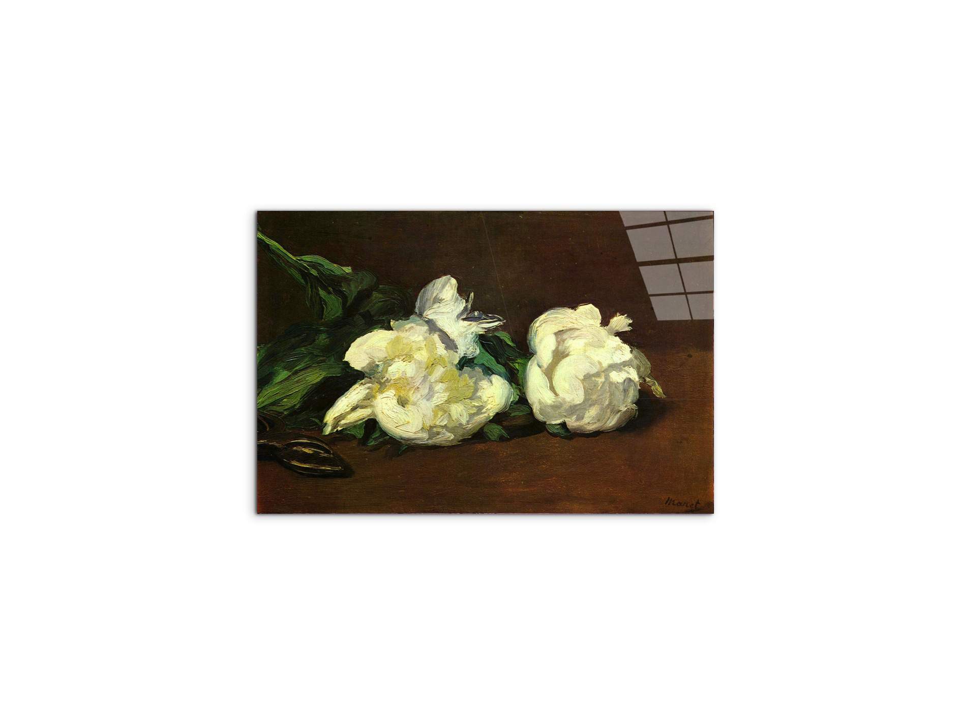 still-life-white-peony-as92263-#materiale_CrystalArt/dimensioni_50x33,33