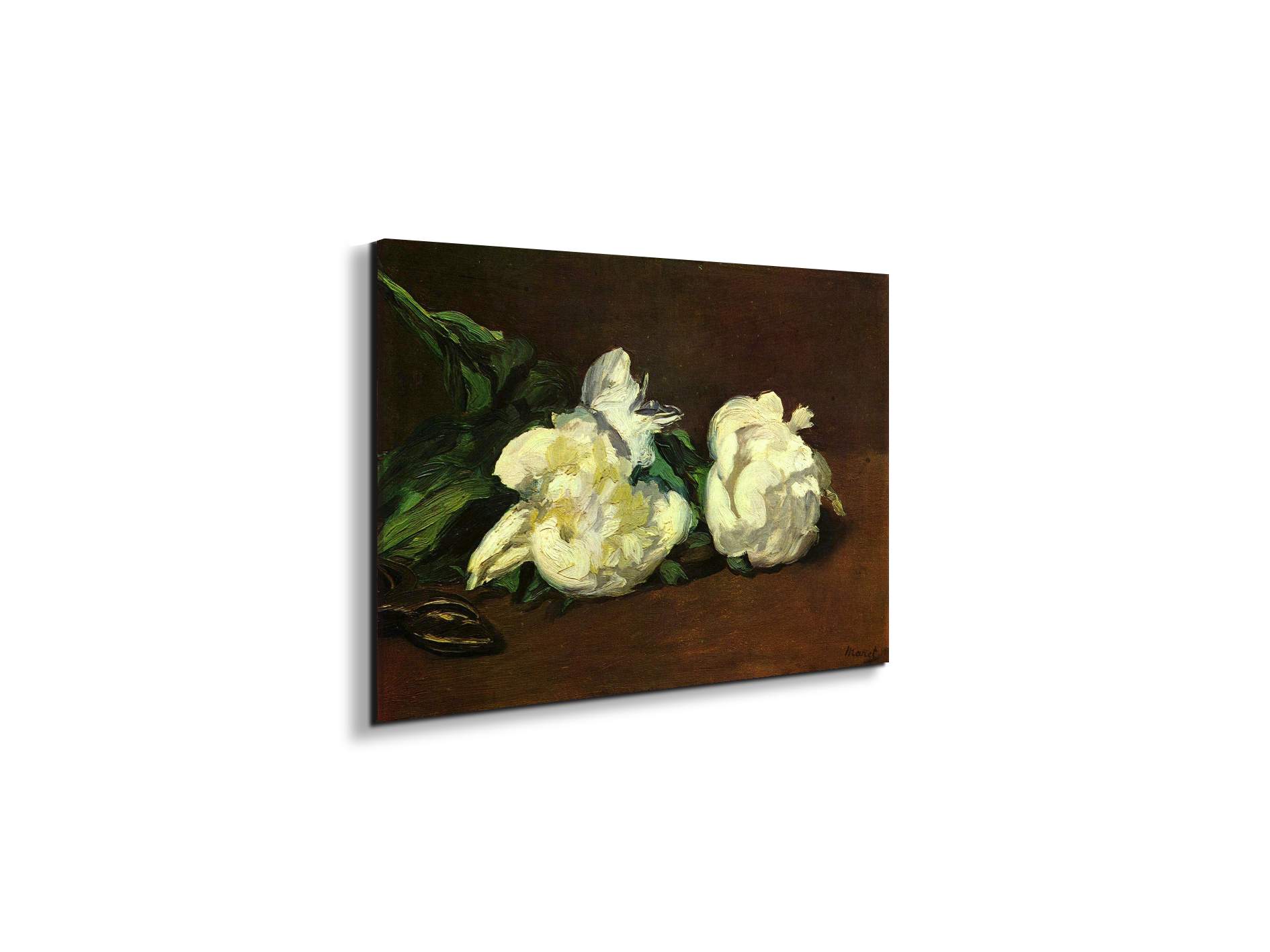 still-life-white-peony-as92263-#materiale_EarthArt Materic/dimensioni_50x33,33