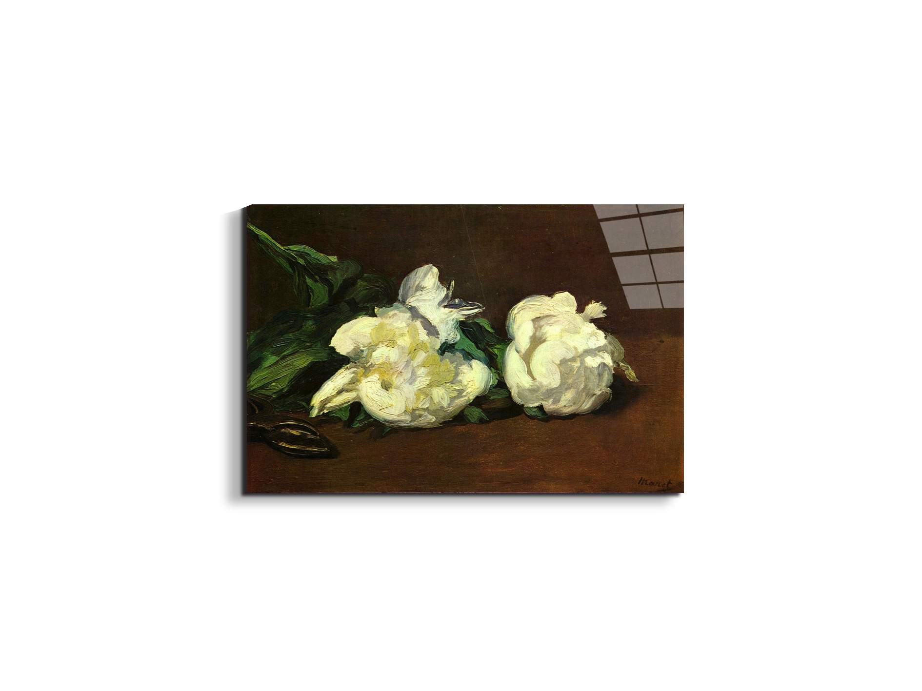 still-life-white-peony-as92263-#materiale_EarthArt Total Gloss/dimensioni_50x33,33