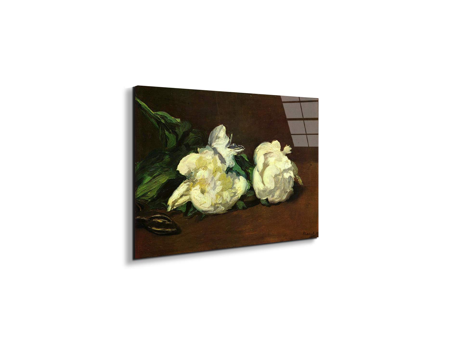 still-life-white-peony-as92263-#materiale_EarthArt Total Gloss/dimensioni_50x33,33