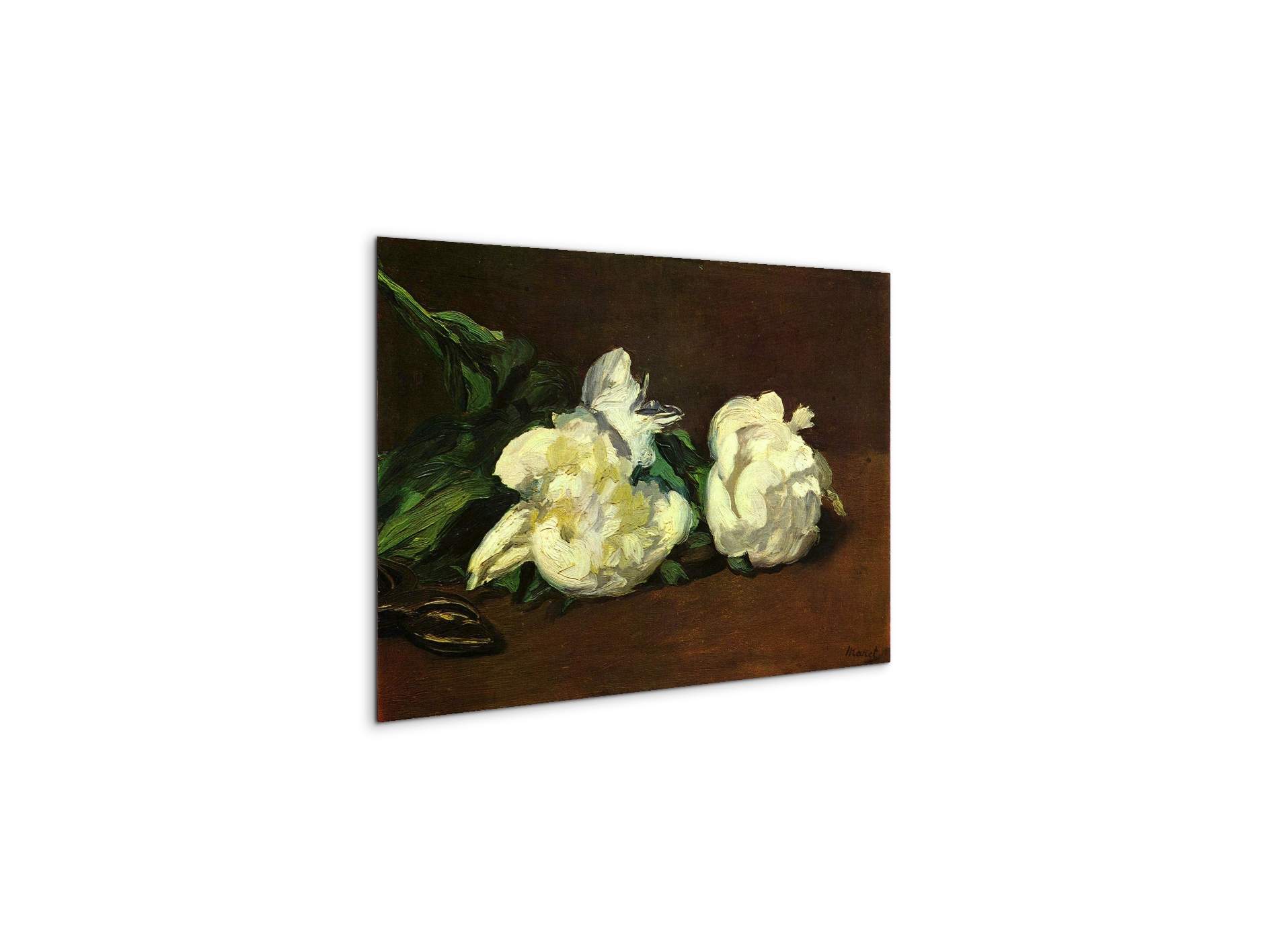still-life-white-peony-as92263-#materiale_MetalArt Materic/dimensioni_50x33,33