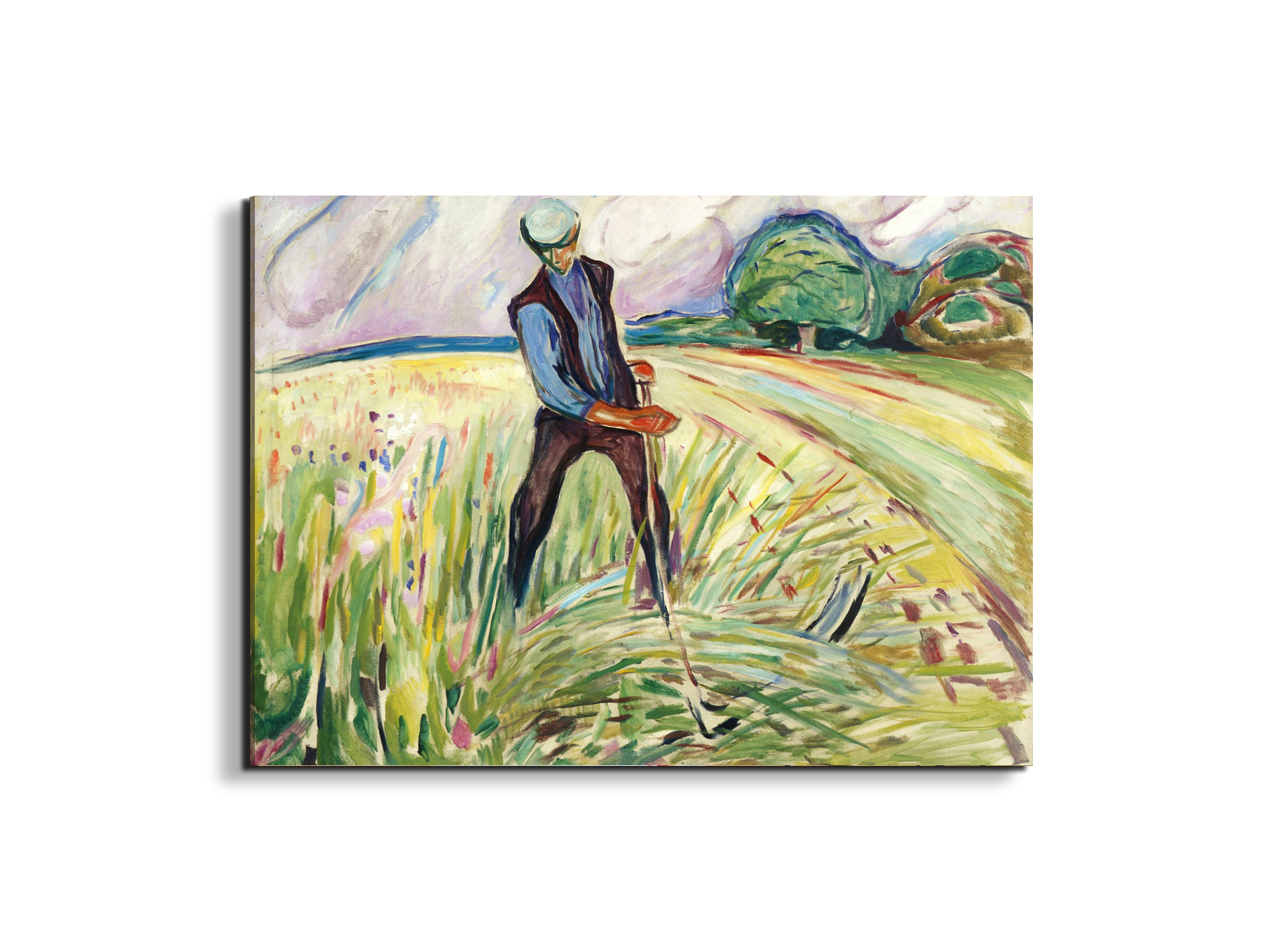 the-haymakeras92307-