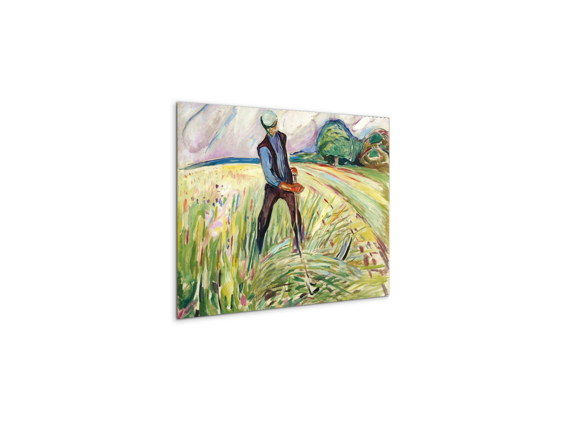 the-haymakeras92307-