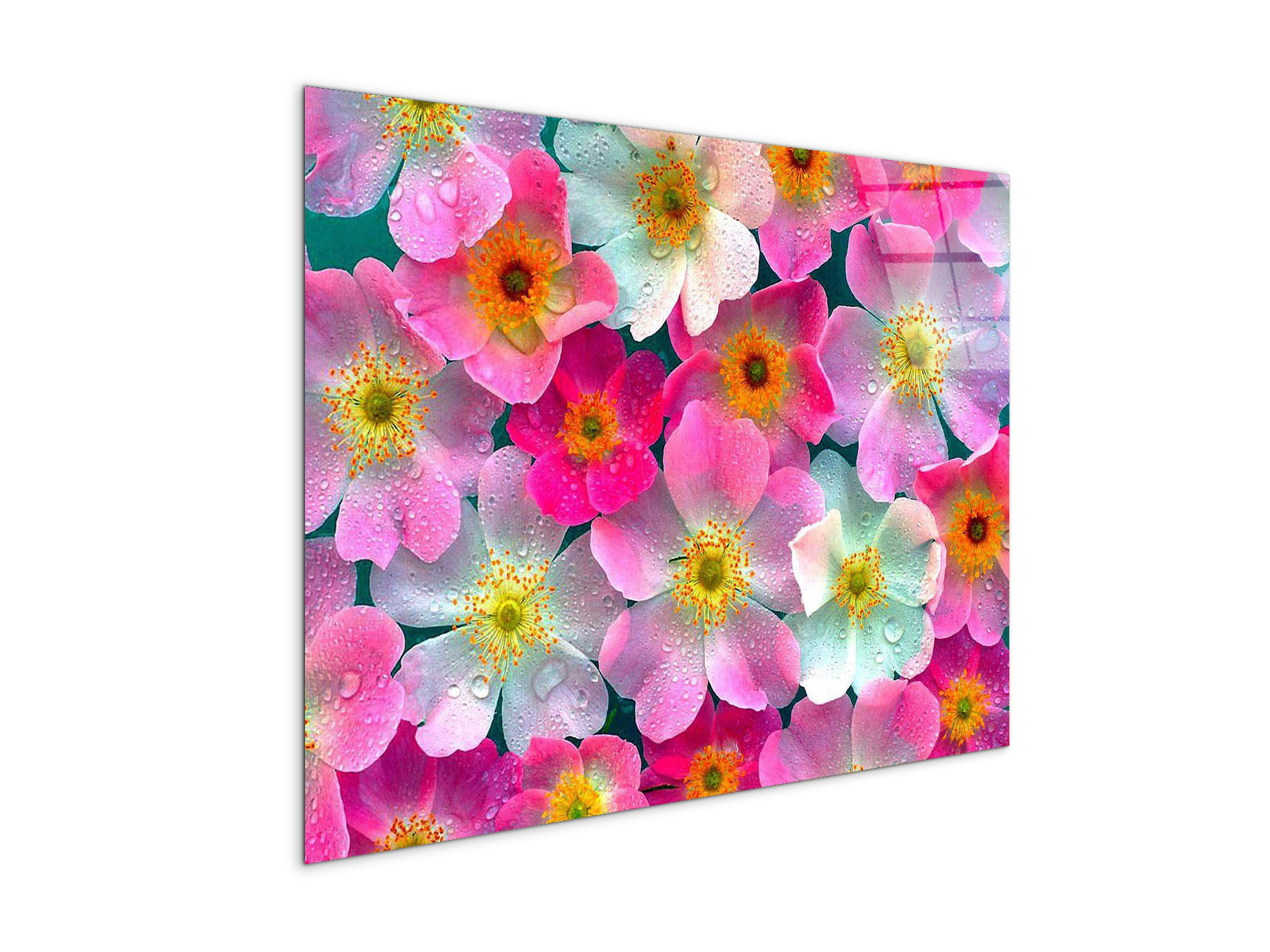 flowersas92331-