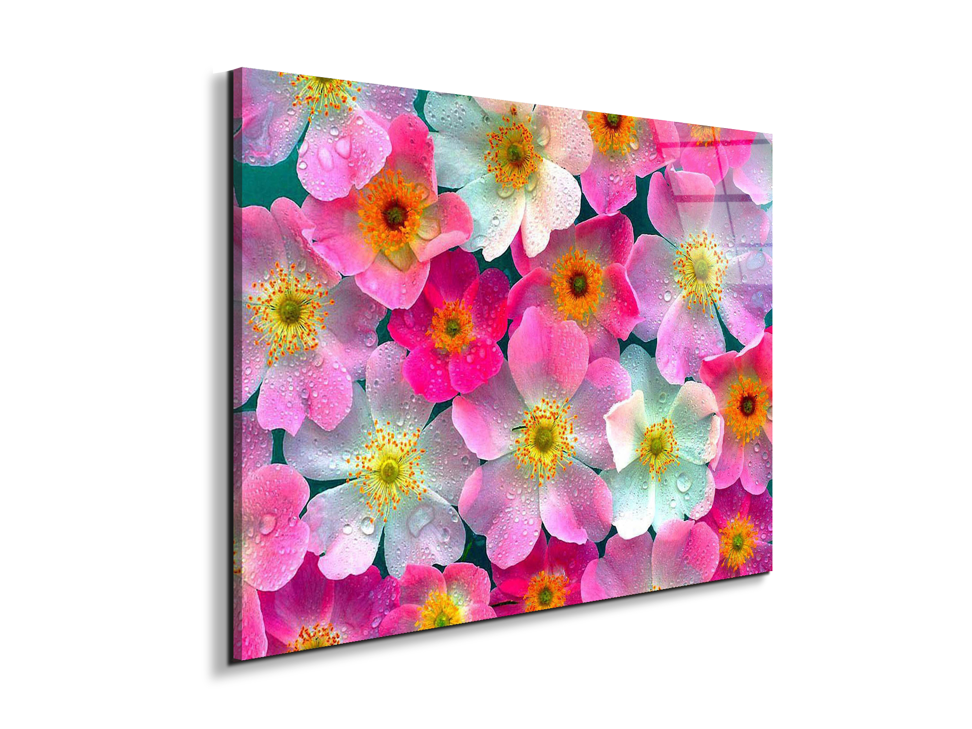 flowersas92331-