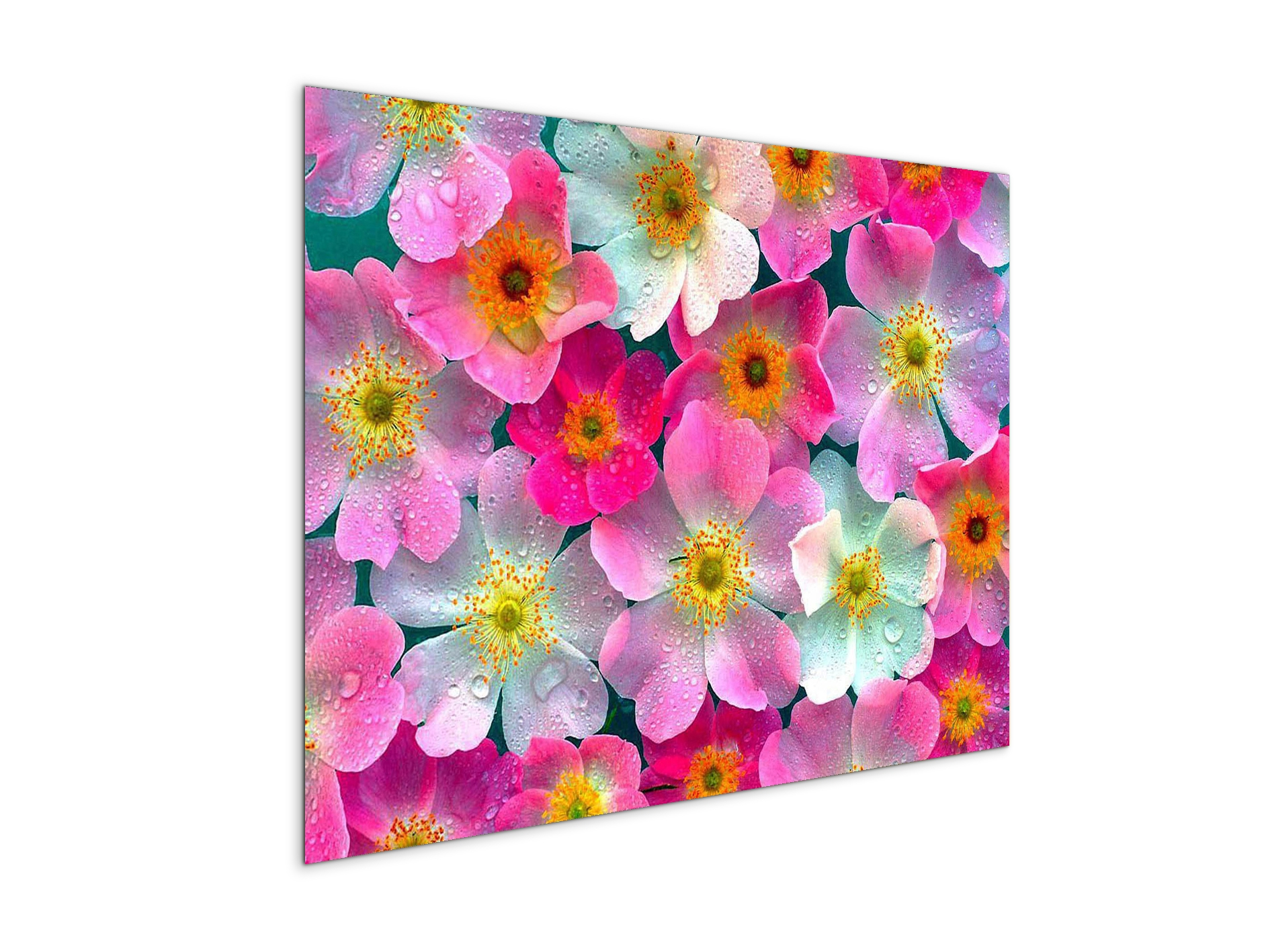 flowersas92331-