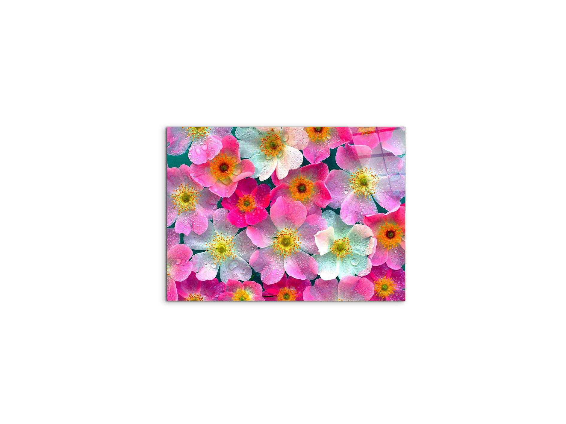 flowersas92331-