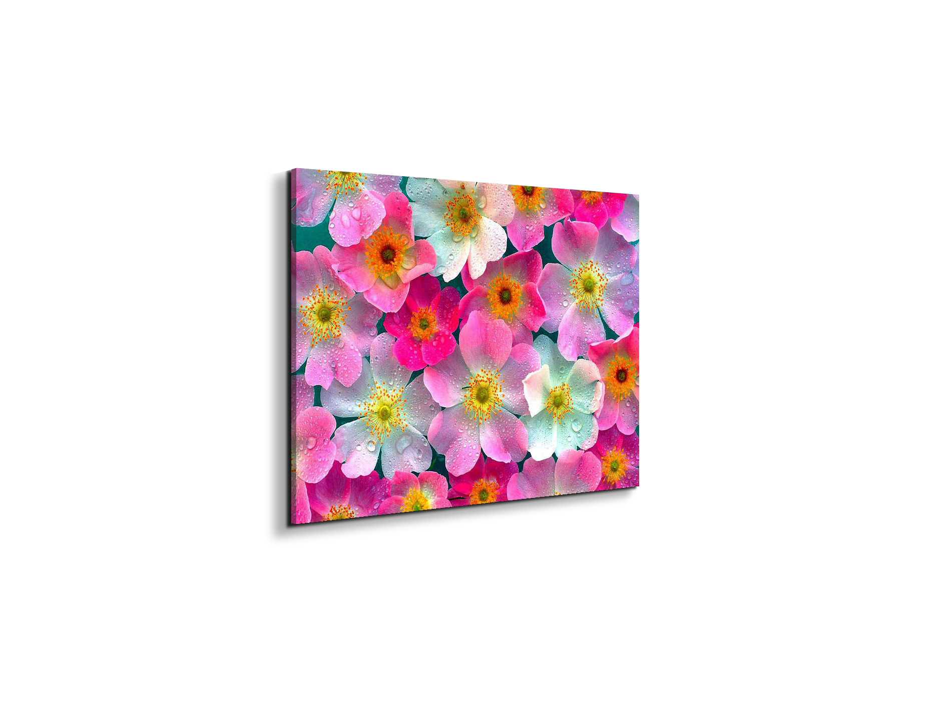 flowersas92331-