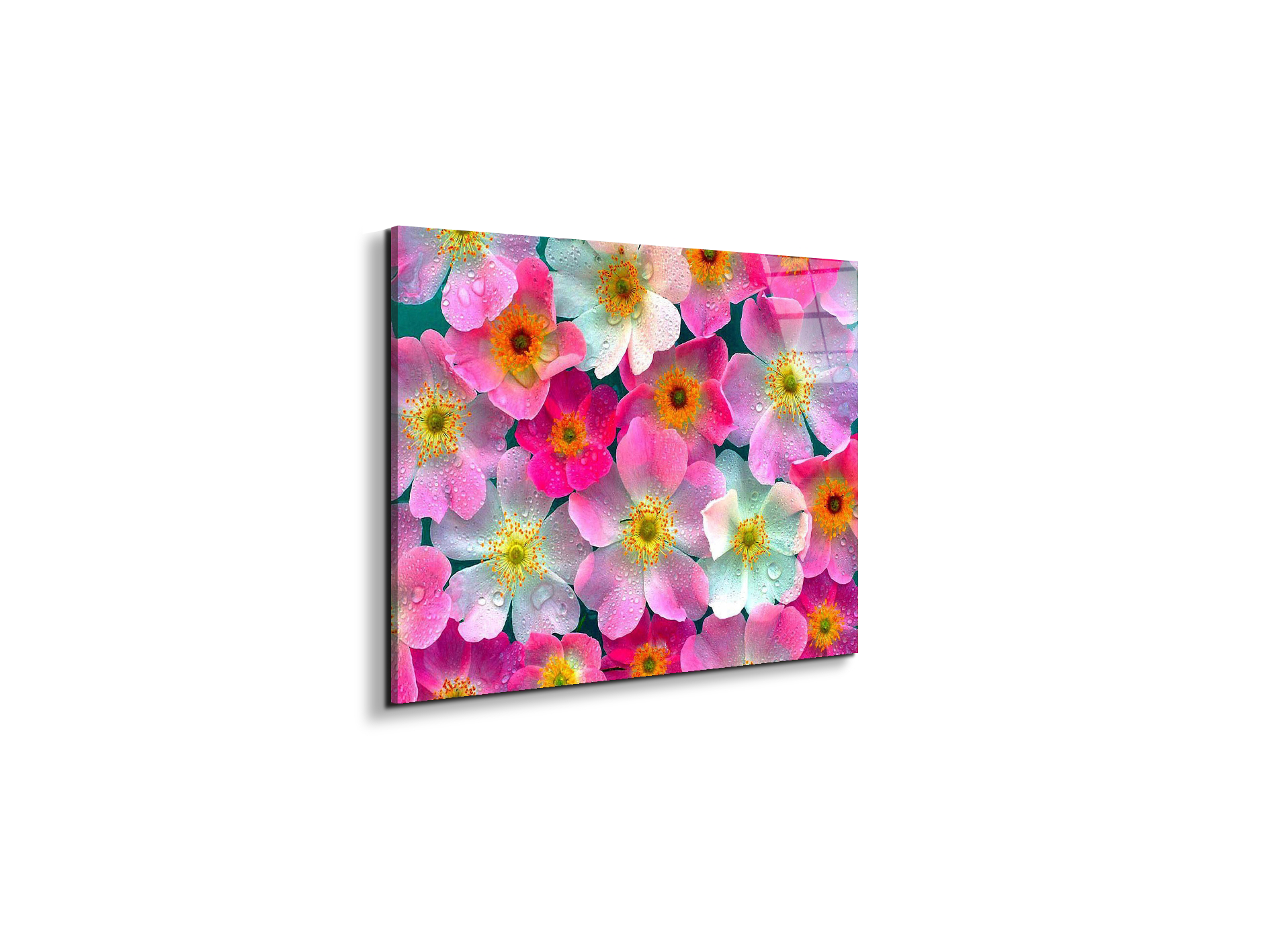 flowersas92331-