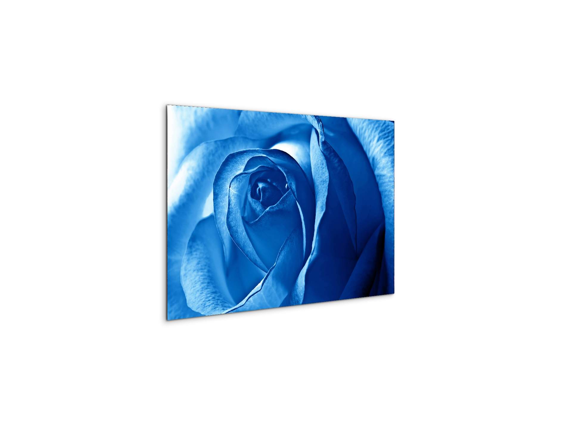 blue-roseas92342-#materiale_MetalArt Materic/dimensioni_50x33,33