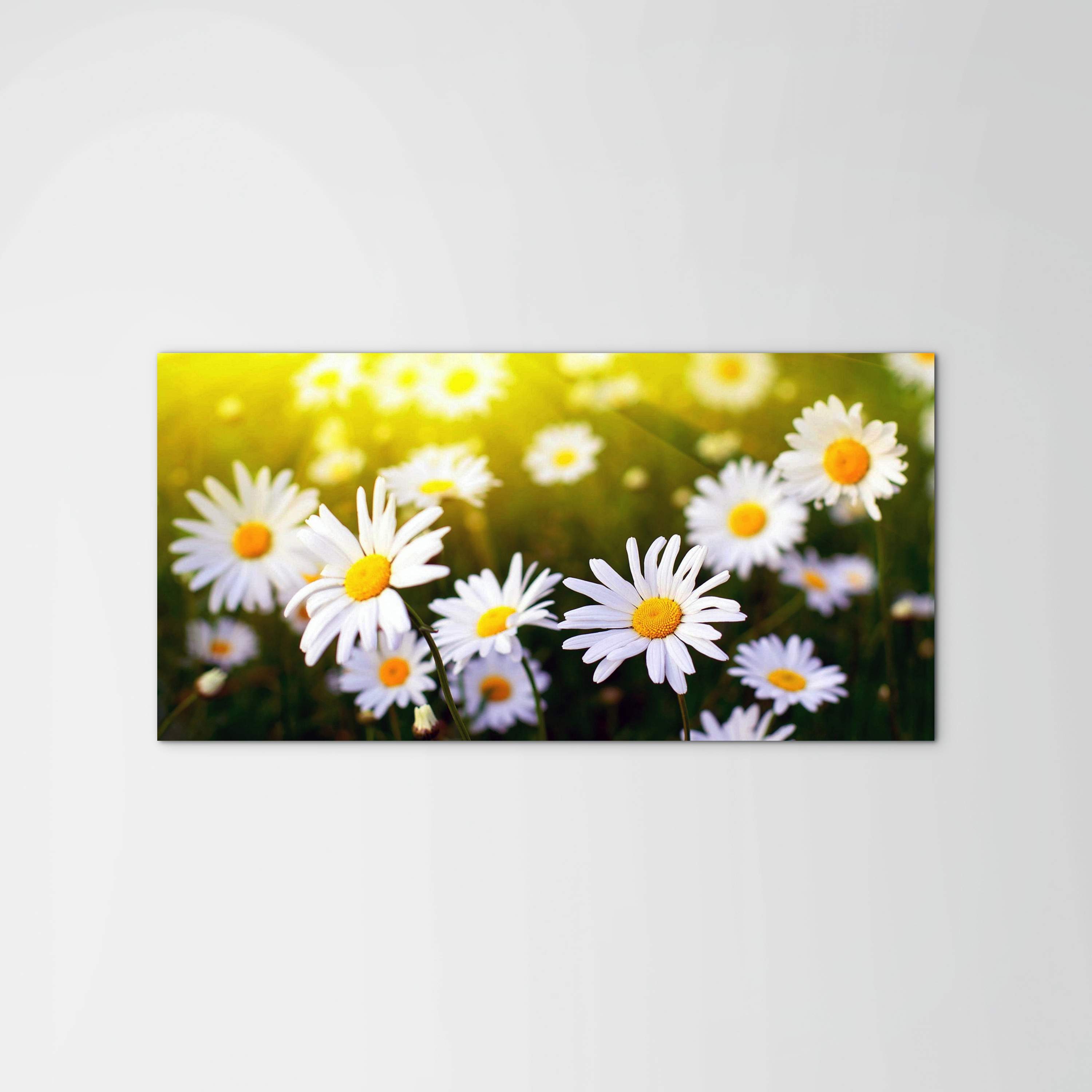 margherite-2as92354-#materiale_MetalArt Materic/dimensioni_100x50
